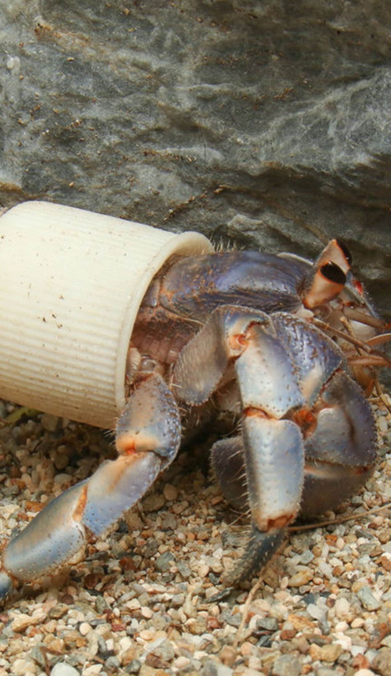 Capturing the impact of plastic in the ocean for World Oceans Day
