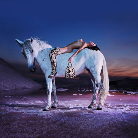 Winter 2023 Collection