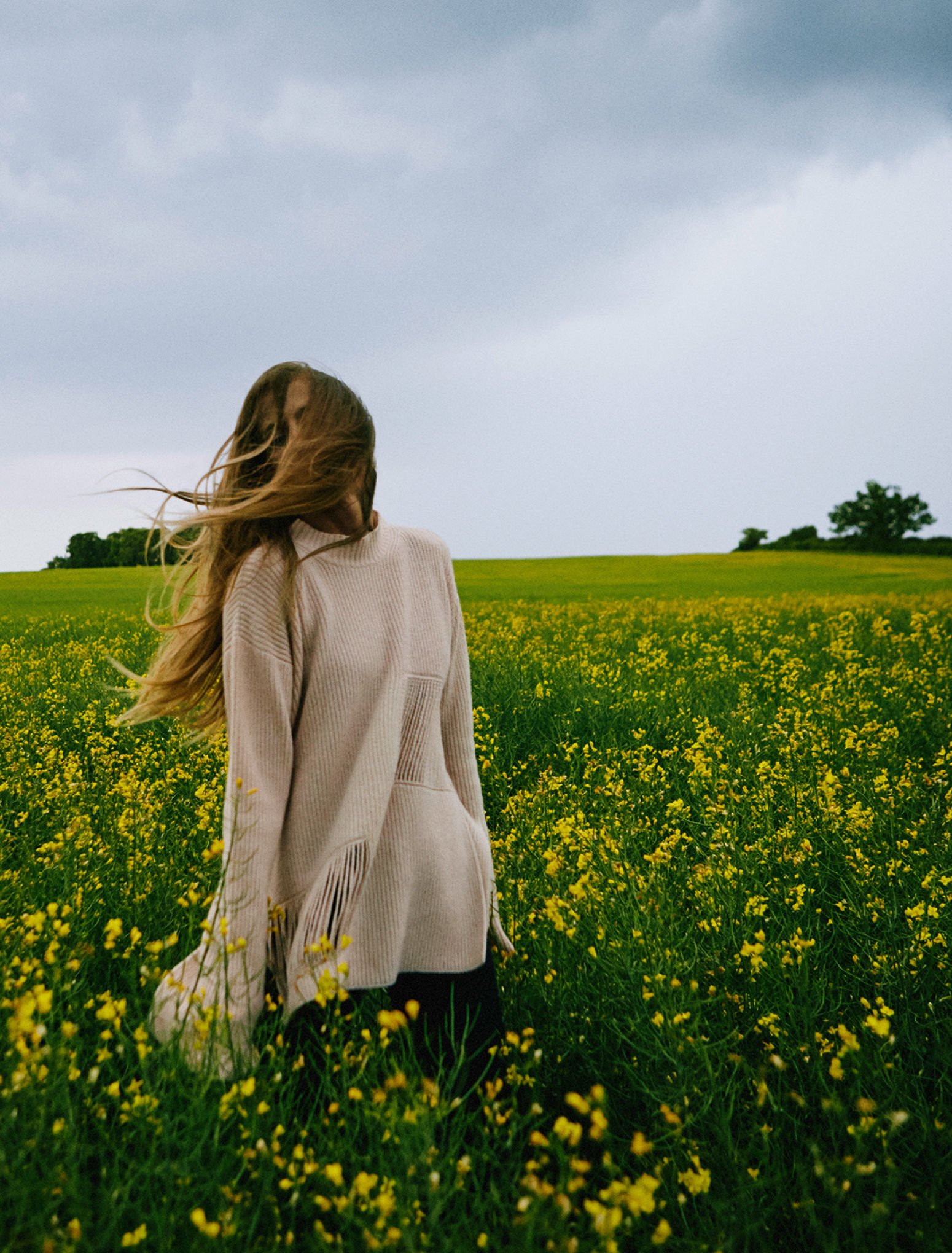 Stella mccartney cashmere new arrivals
