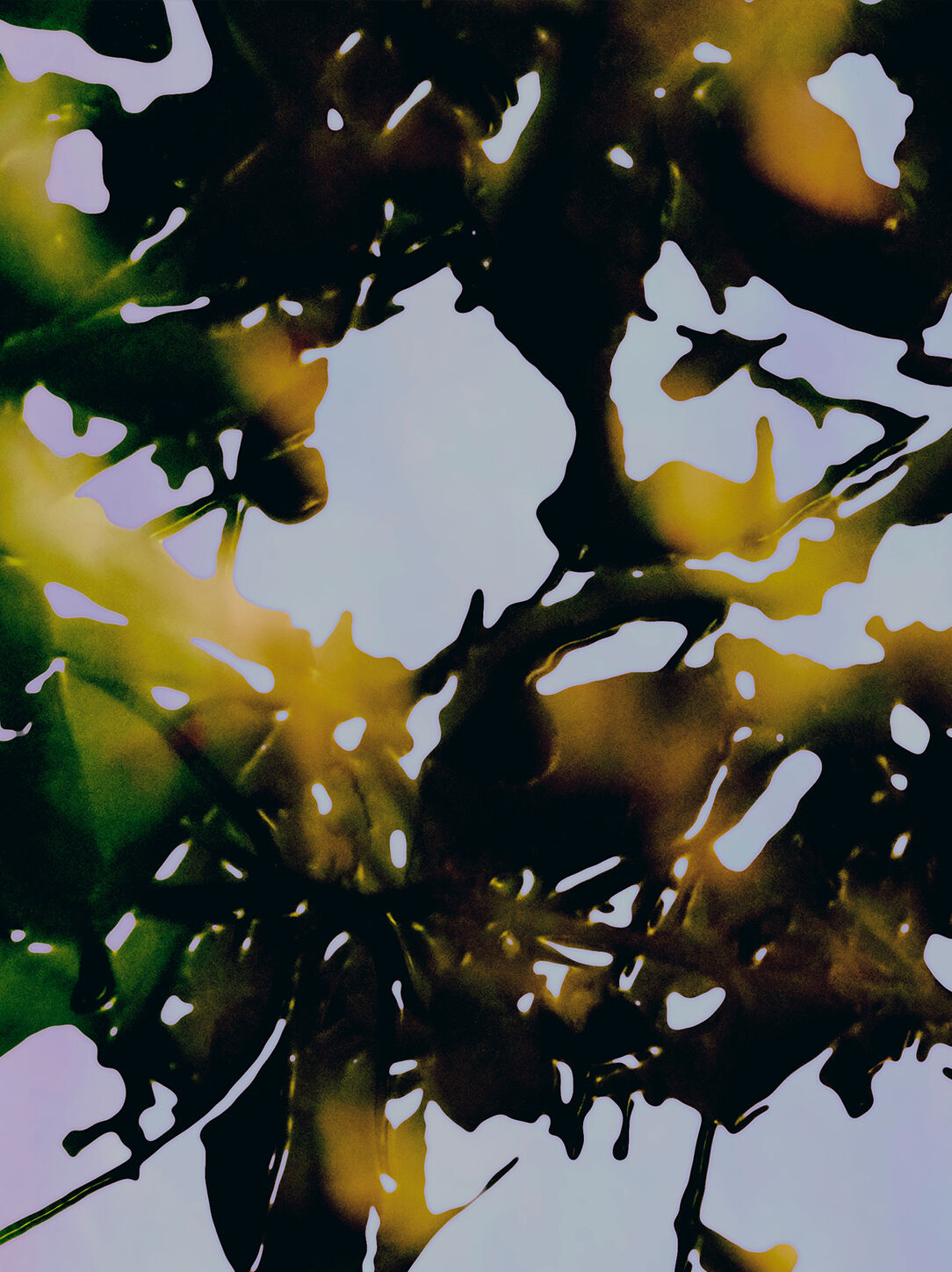 The A to Z of Stella McCartney | Stella McCartney US