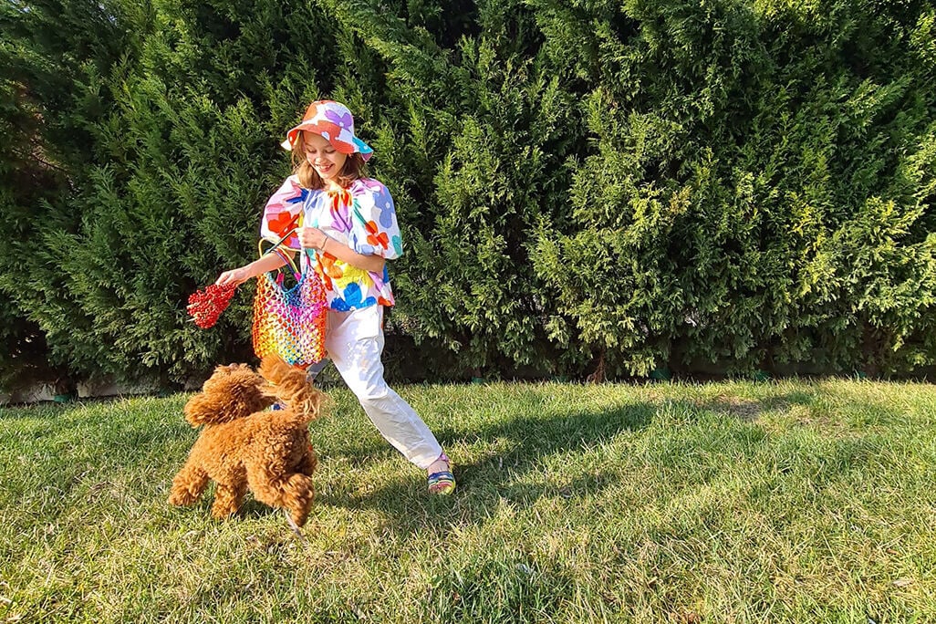 Stella mccartney dog dress discount