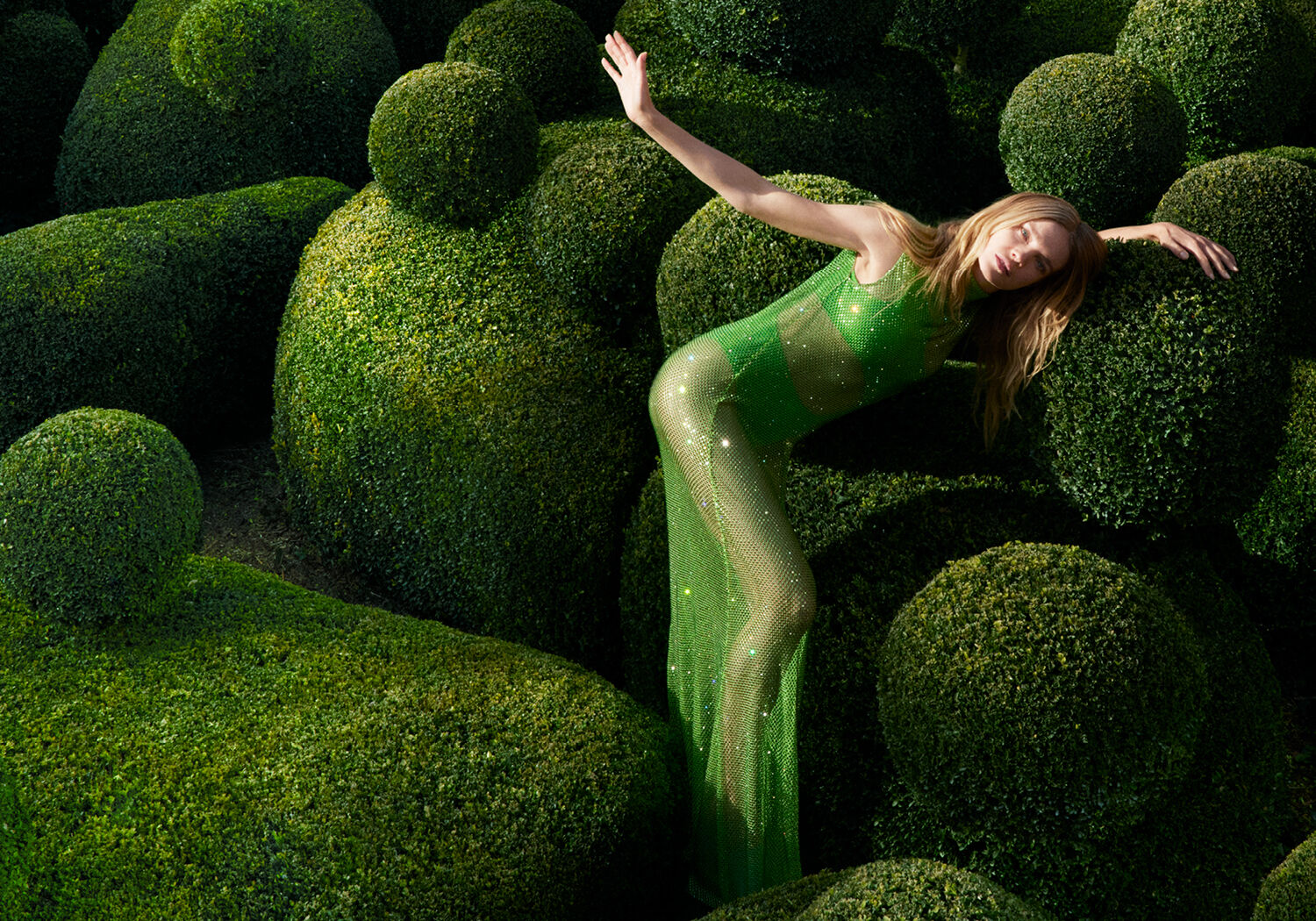 Mushrooms are the future: Introducing the Summer 2022 campaign