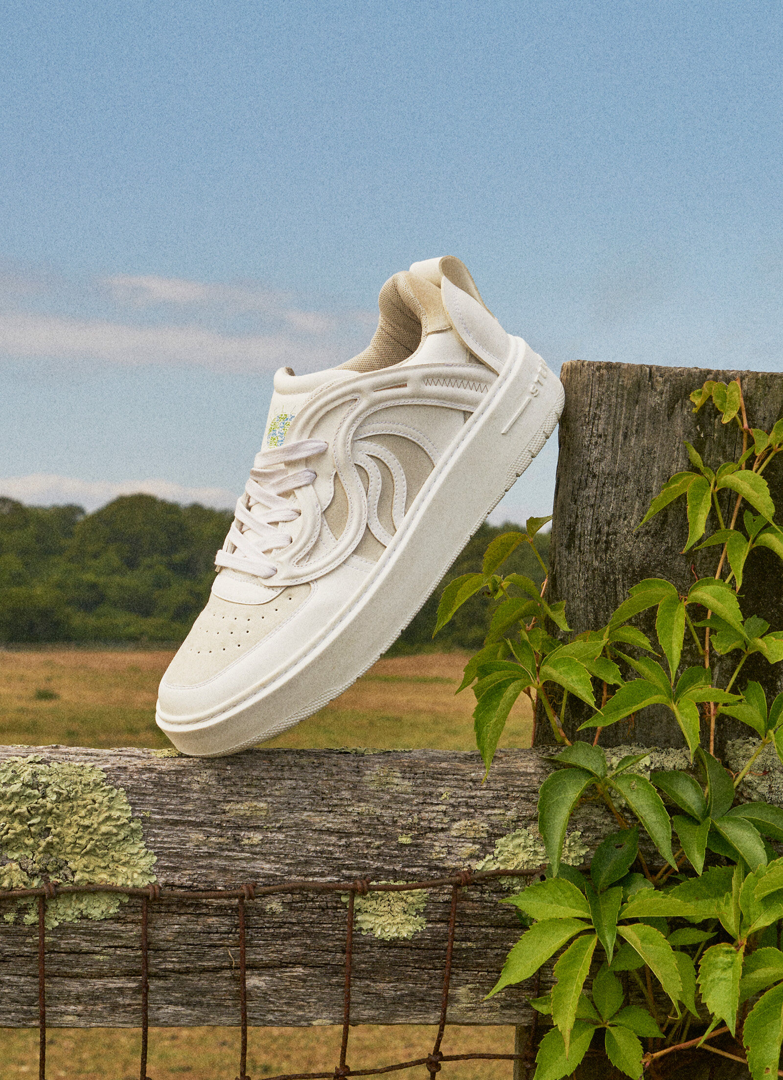 Stella trainers 2025