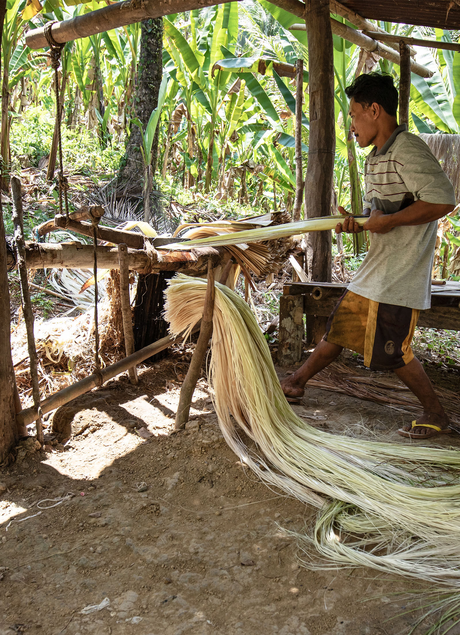 Bananatex®: Banana Plant-Based Low-Impact Fibre | Stella