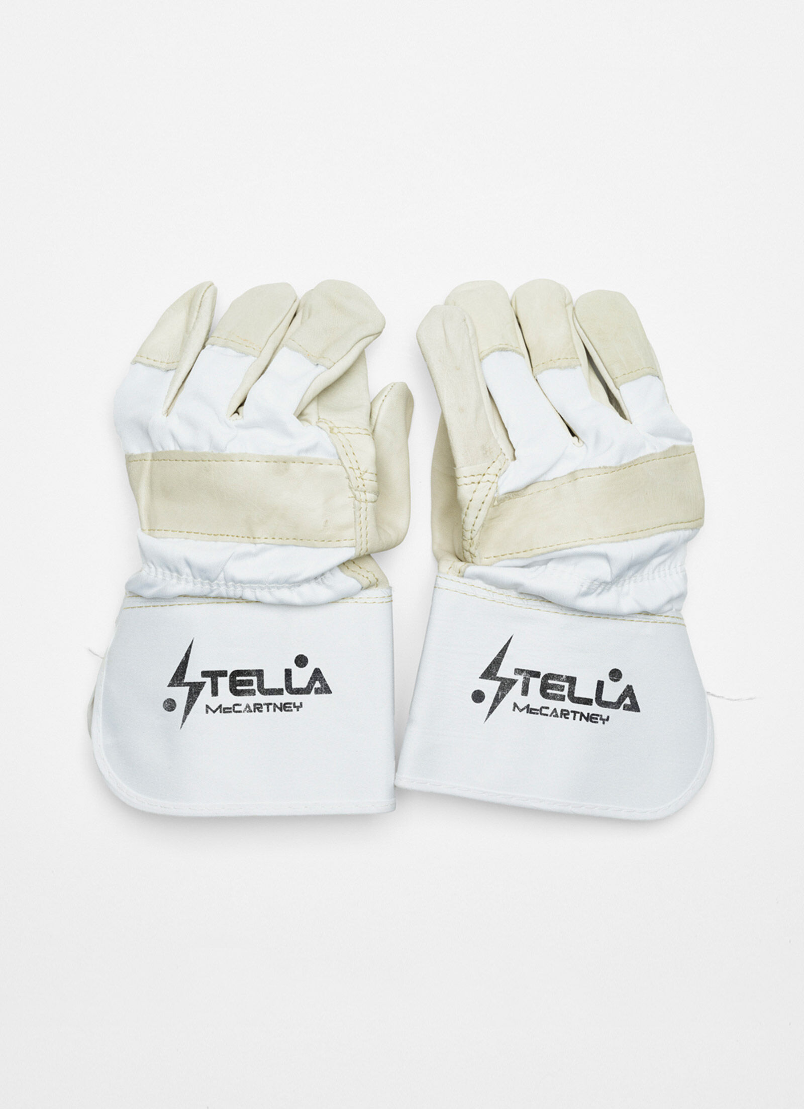 Stella Shared 3: Tom Tosseyn  Stella Shared 3: Tom Tosseyn