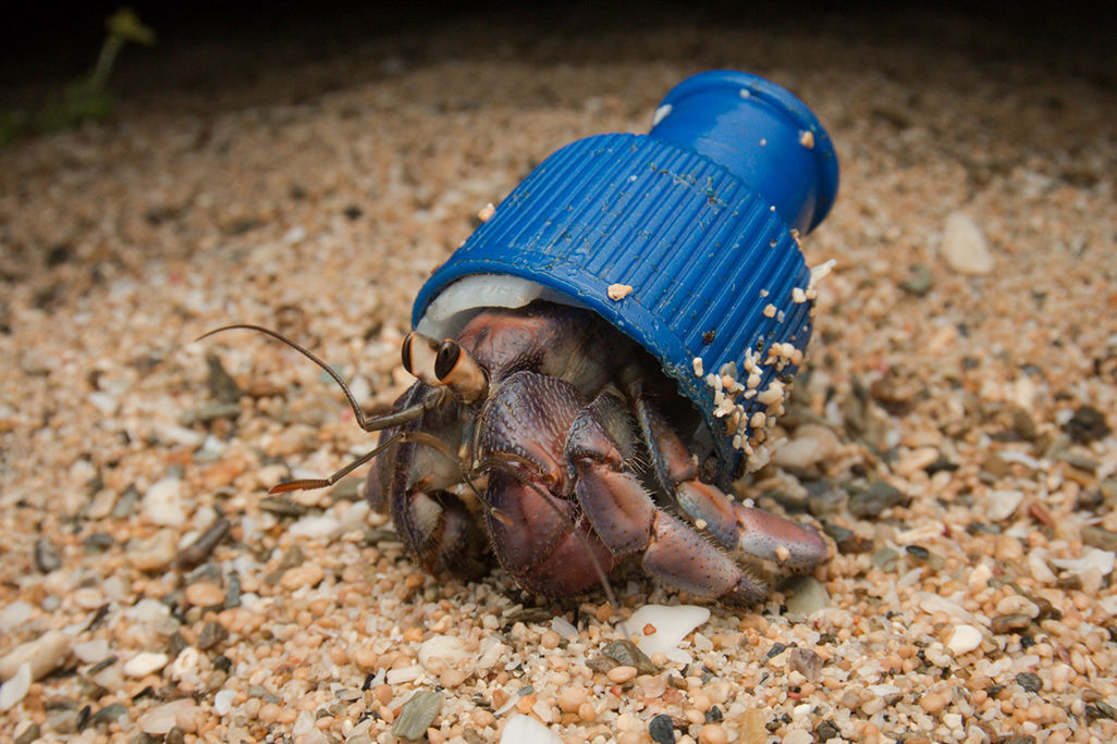 Capturing the impact of plastic in the ocean for World Oceans Day