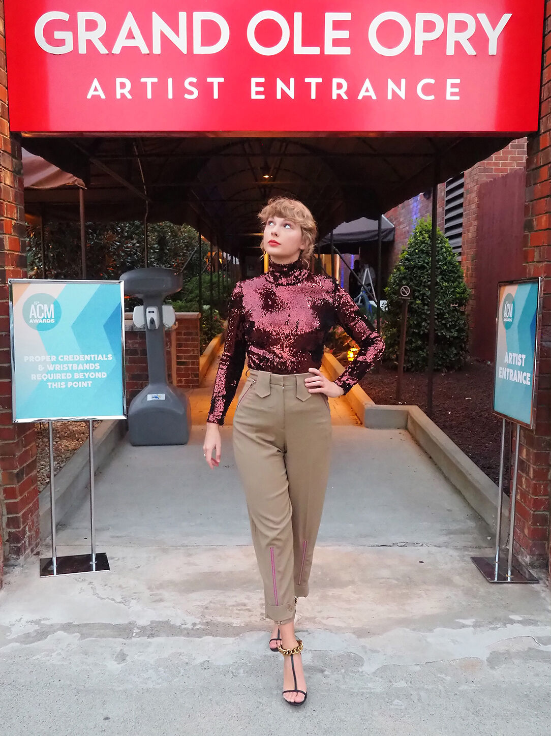 Taylor Swift Taylor Swift