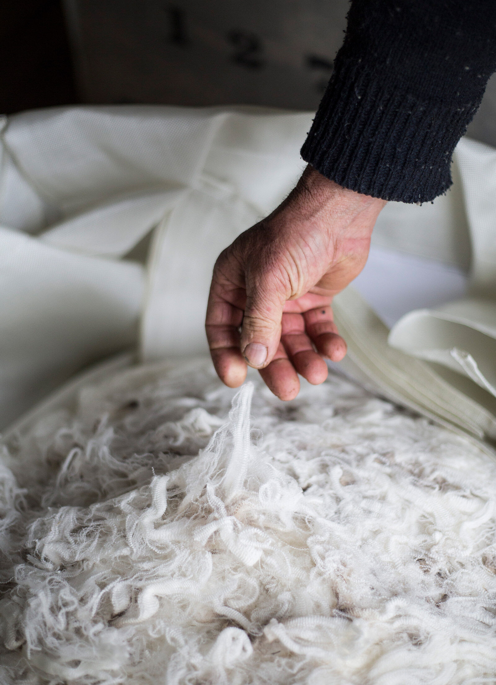 Regenerative Wool Regenerative Wool