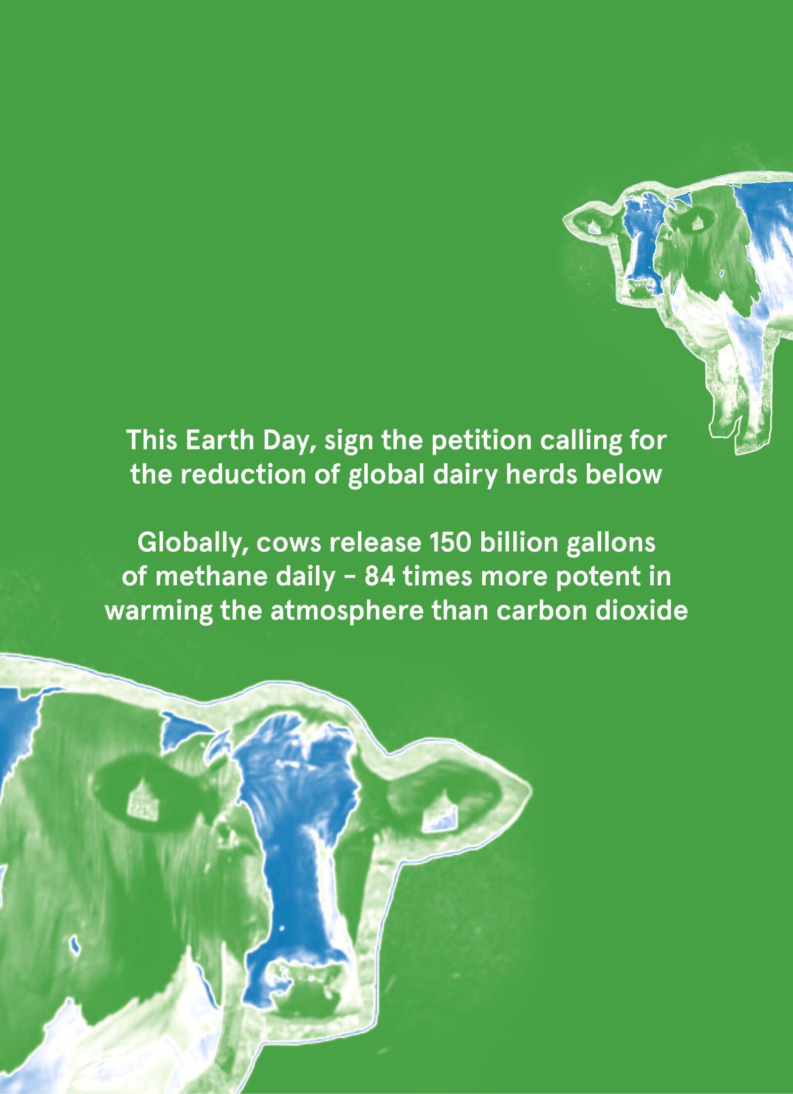 Stella mccartney on sale earth day