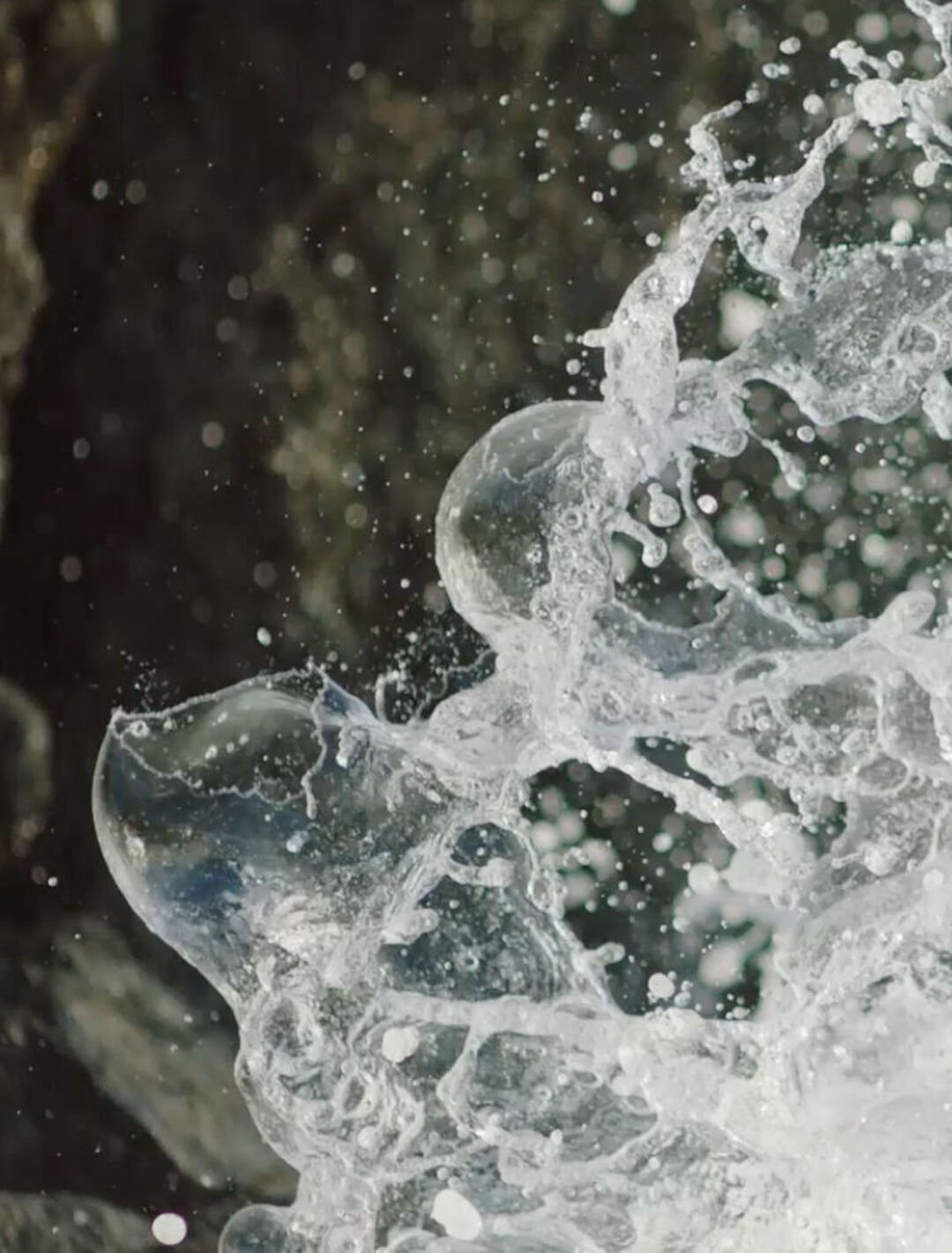 Organic cotton | Stella McCartney US