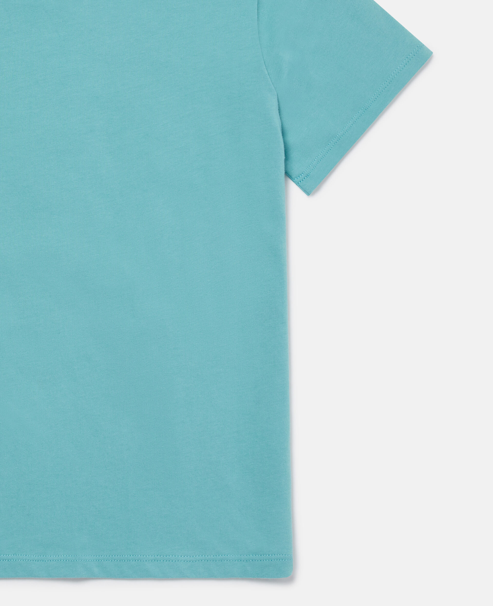 Frog Graphic Crewneck T-Shirt-Blue-large image number 3