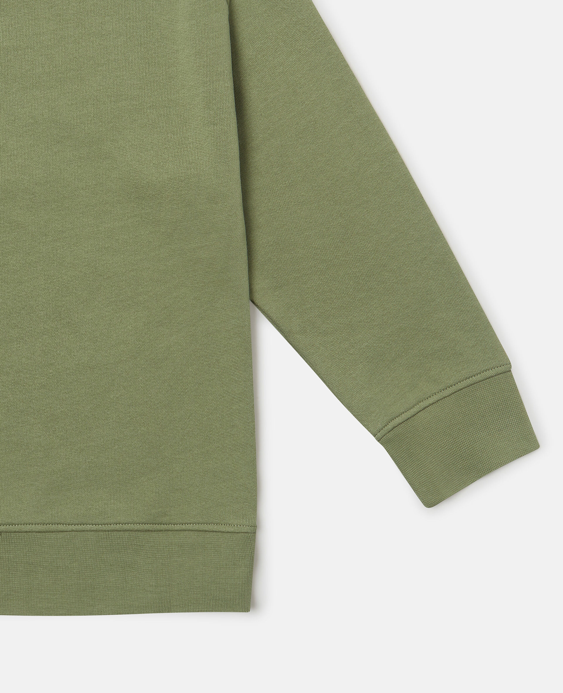 Logo Graphic Crewneck Sweatshirt-Green-large image number 3