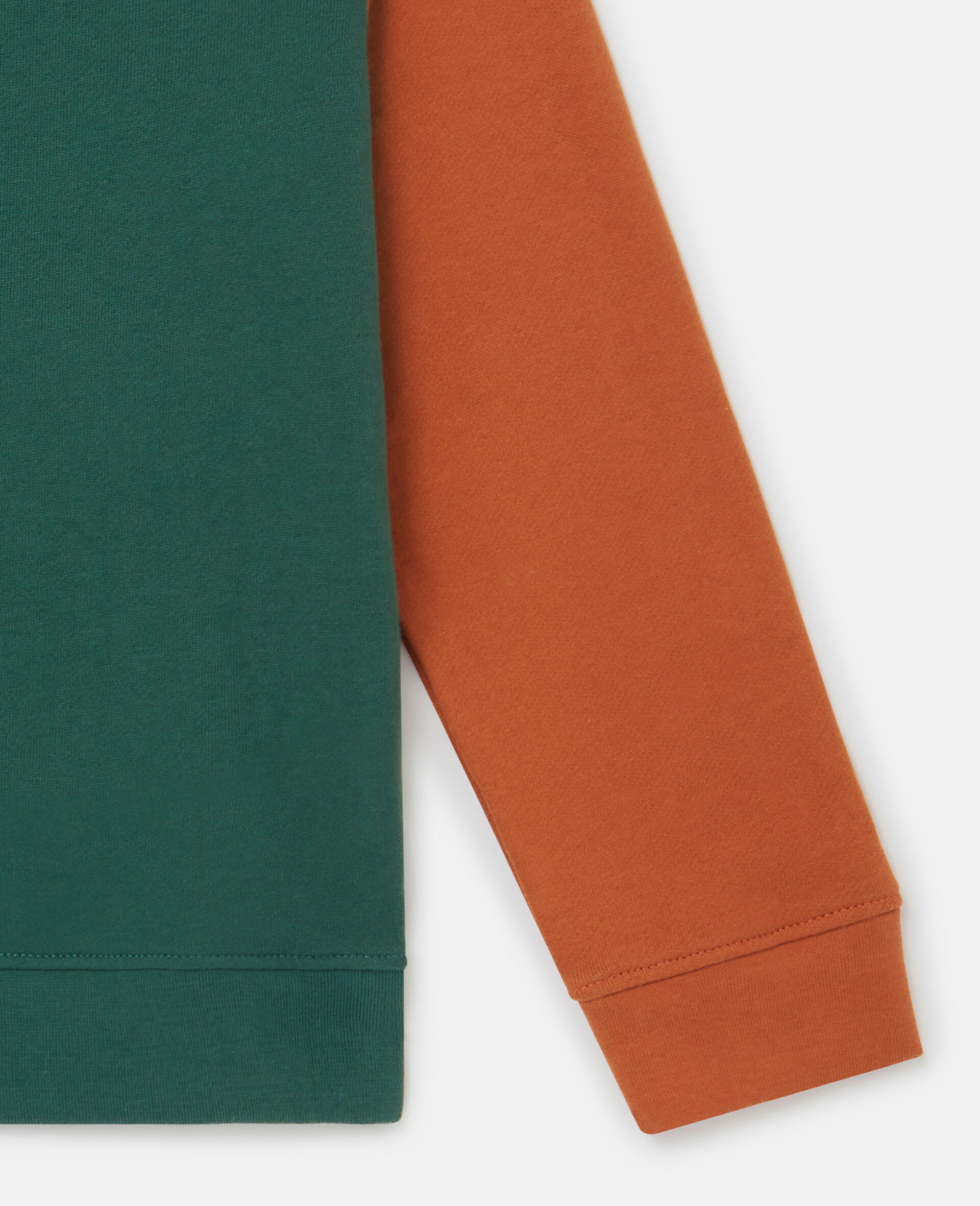 Grizzly Bear Sweatshirt-Green-large image number 3