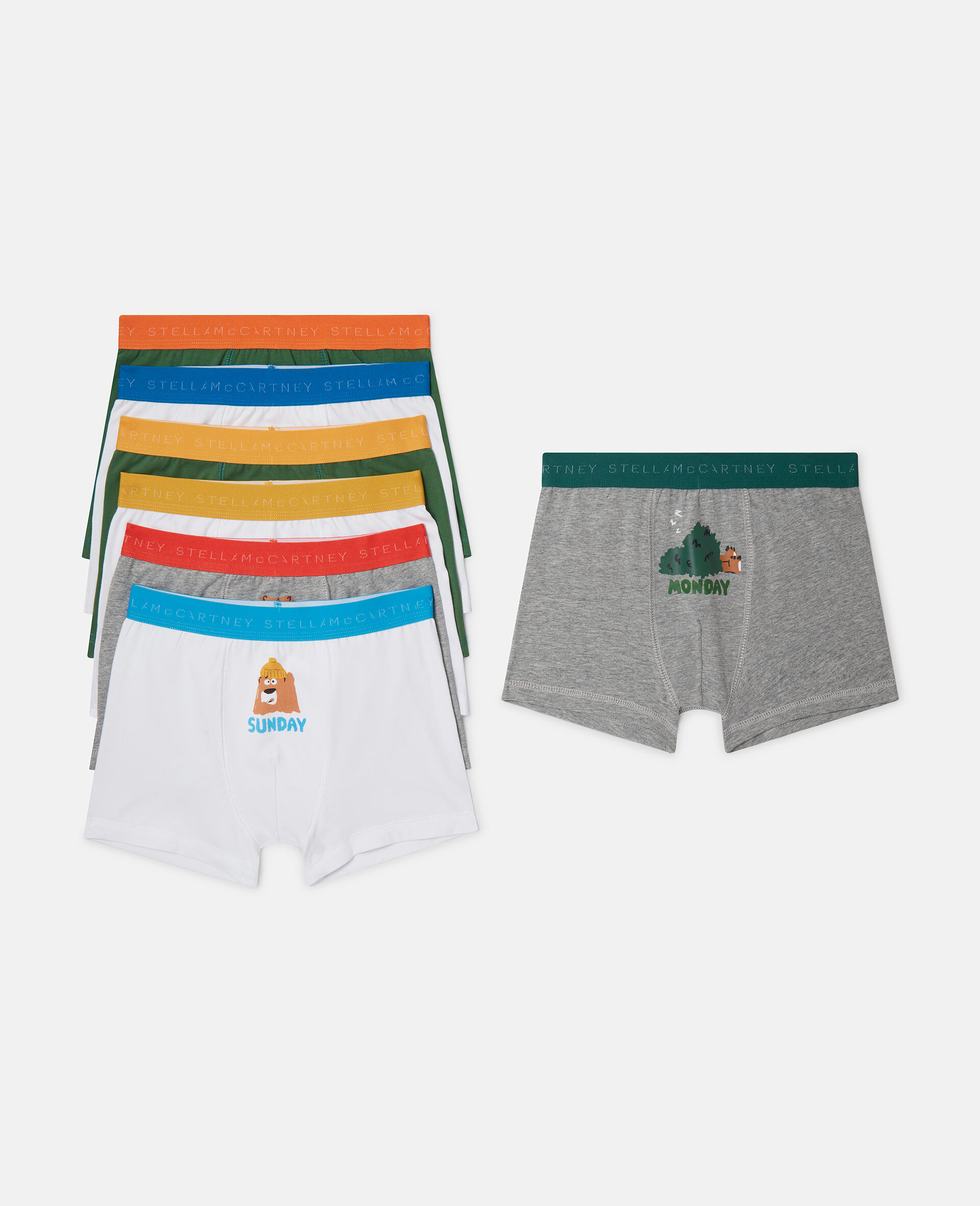 7 Pack of Grizzly Bear Days of the Week Boxers-Multicolour-large image number 0