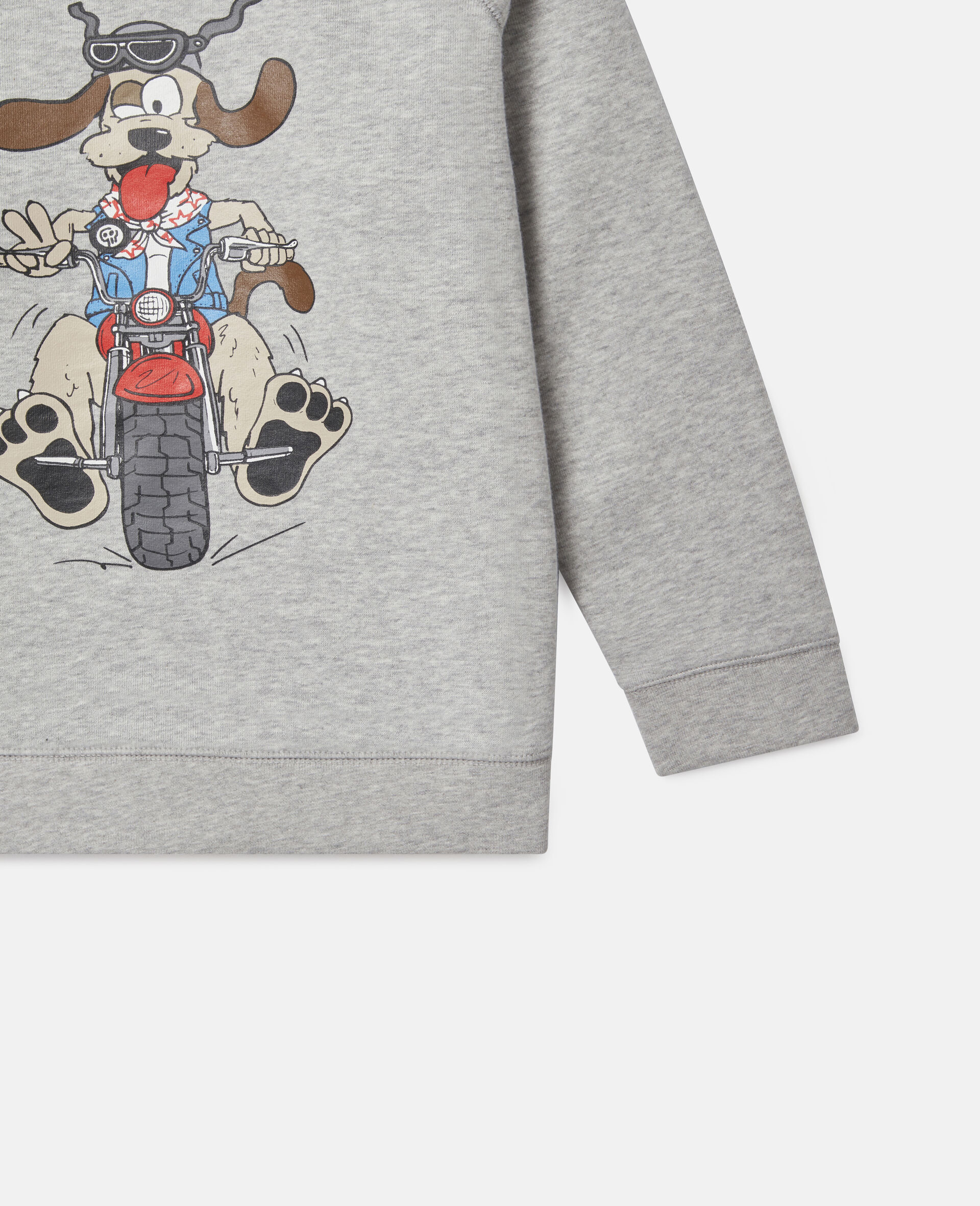 Fleece-Sweatshirt mit „Doggy Rider“-Print-Grau-large image number 2