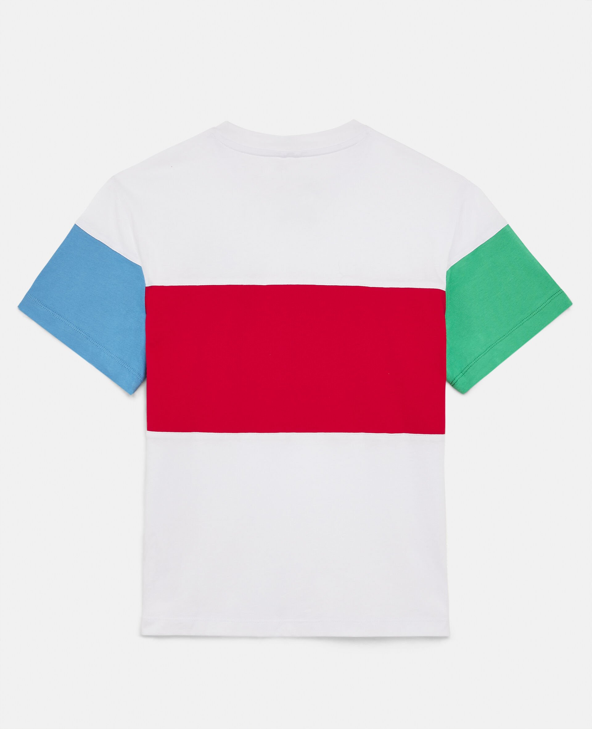Color Block Oversized Cotton T-Shirt-Multicoloured-large image number 2