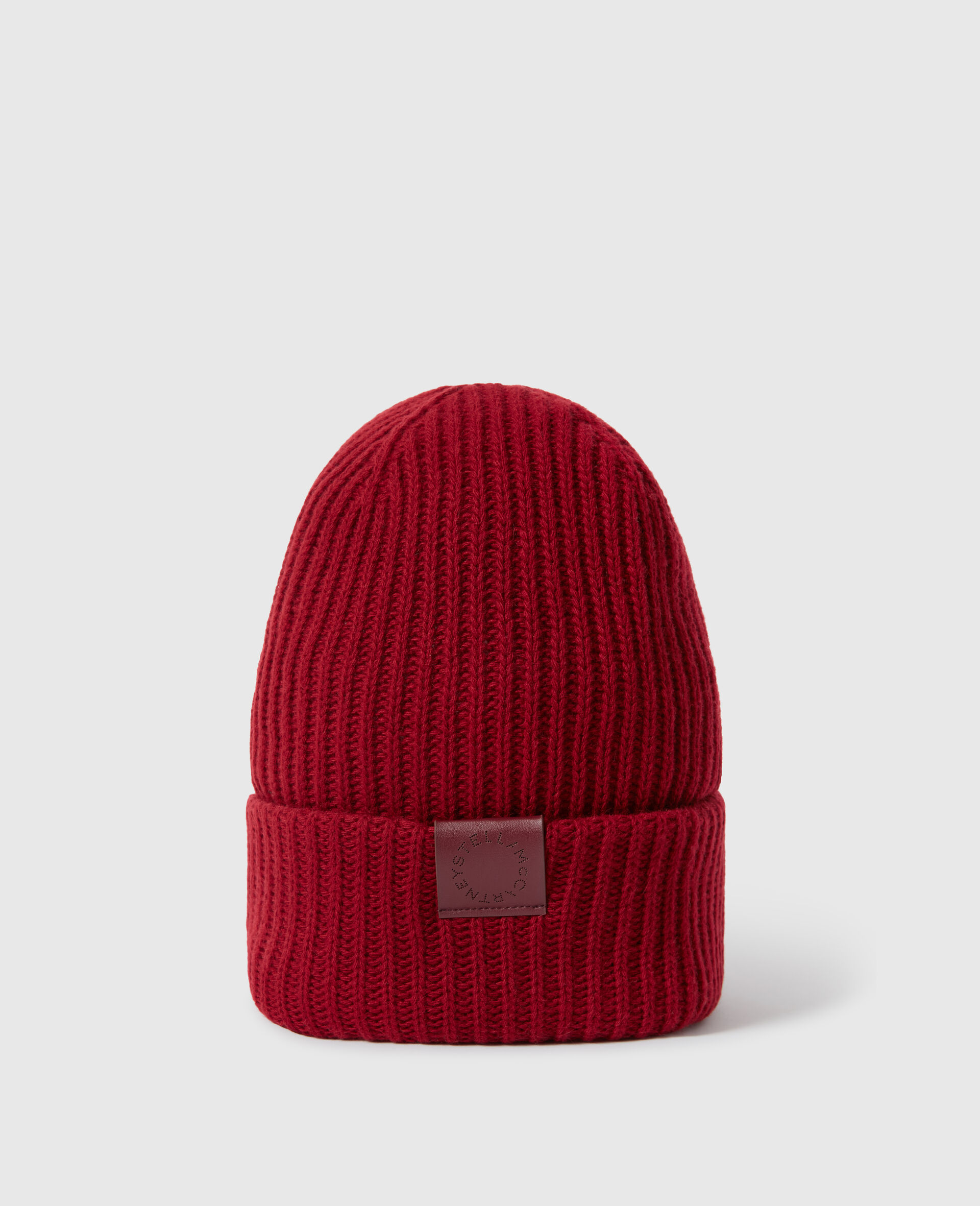 Ribbed Logo Beanie-Grey-large image number 0