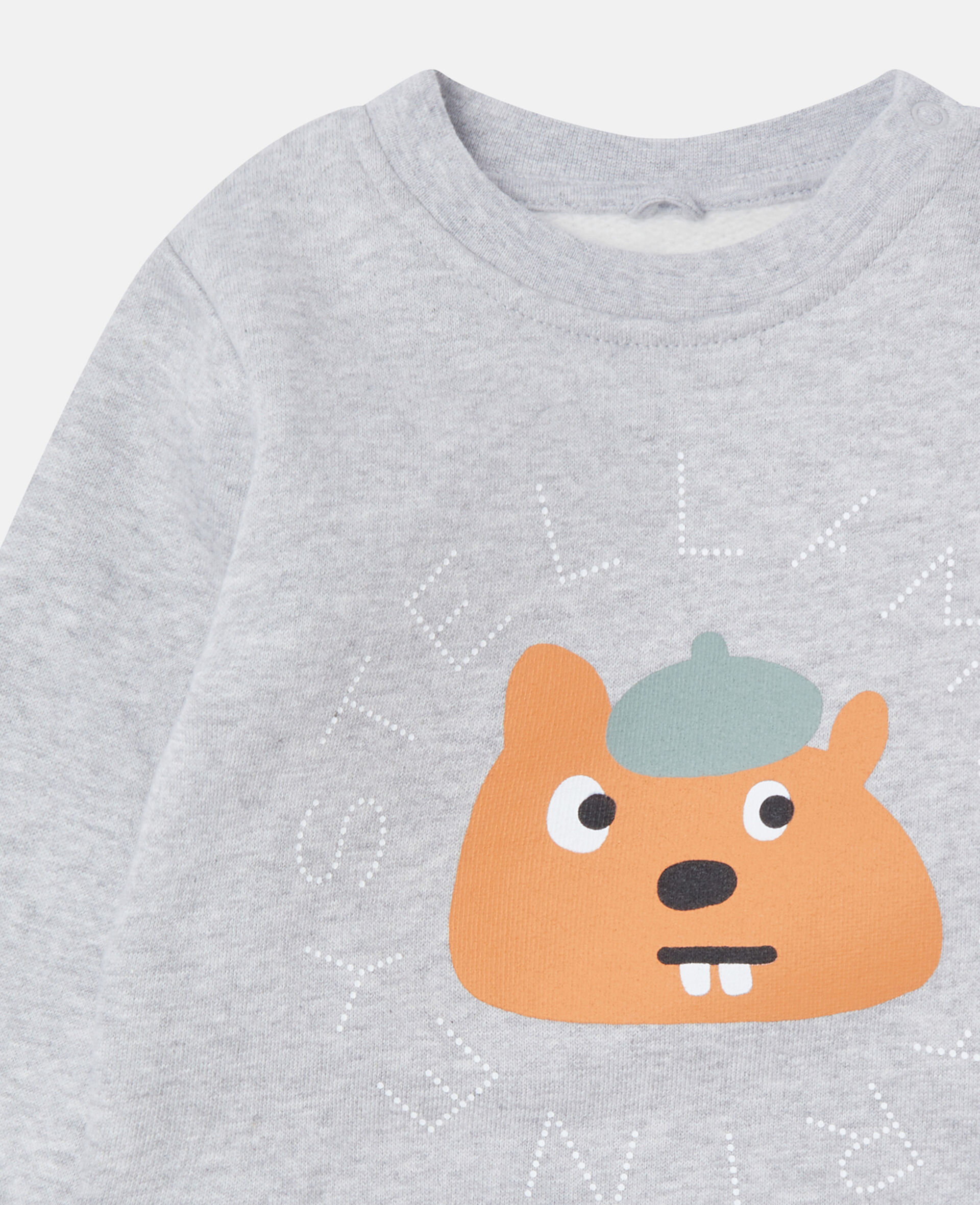 Squirrel Graphic Crewneck Sweatshirt-Grey-large image number 1