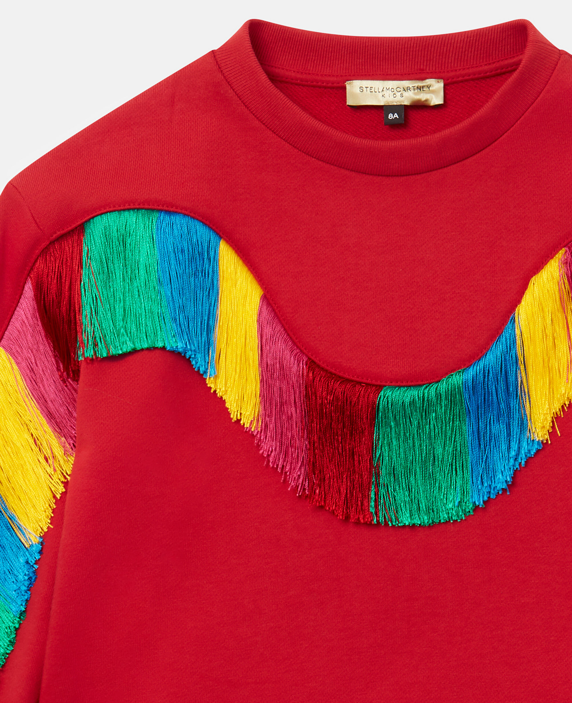 Rainbow fringe sweater hotsell