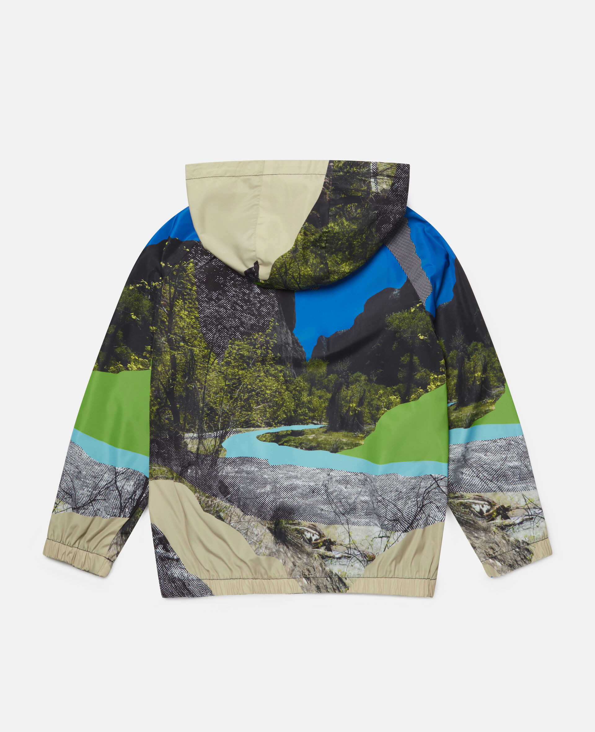 Landscape Hooded Jacket-Multicolour-large image number 3