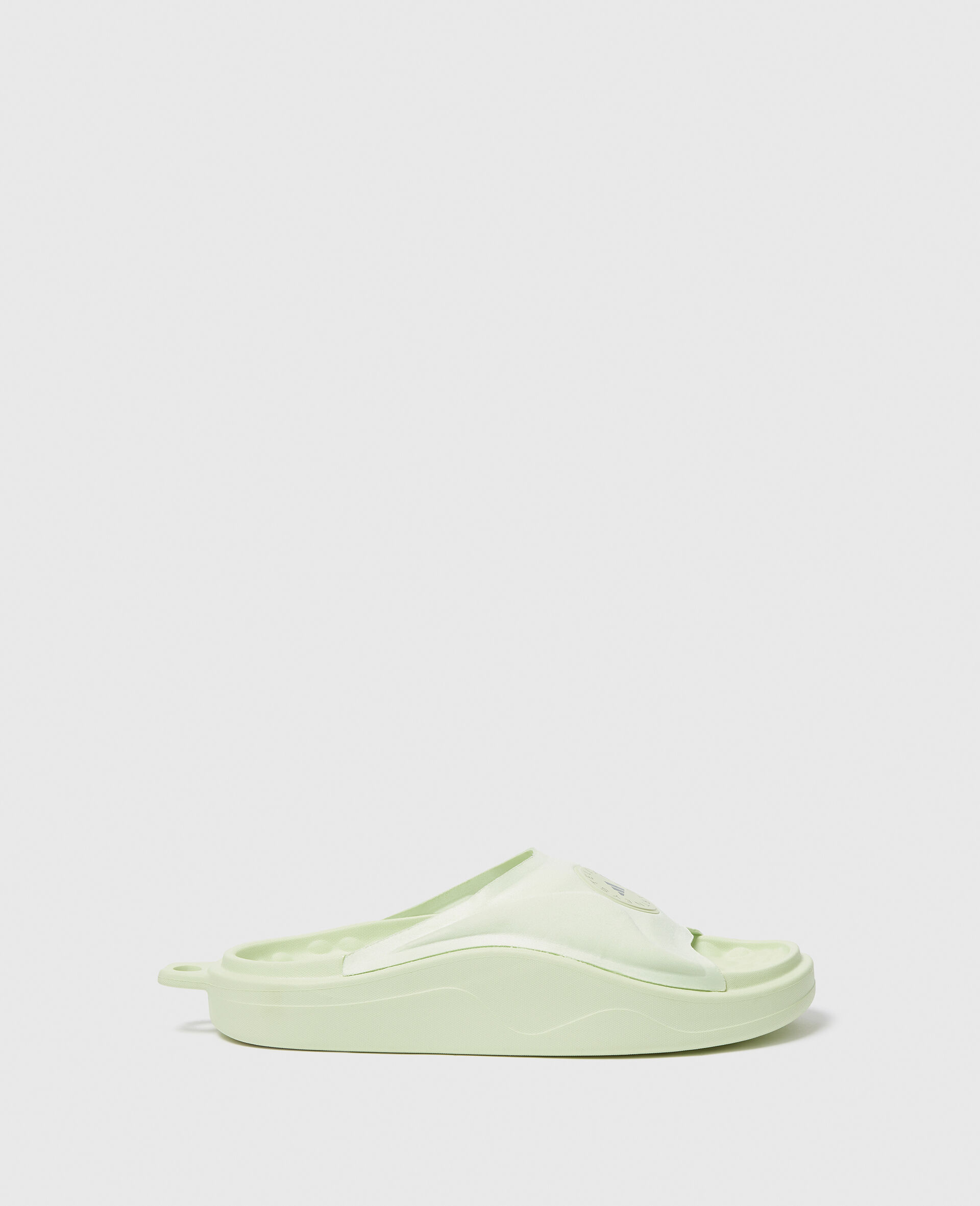 Logo Slides-Green-large image number 0