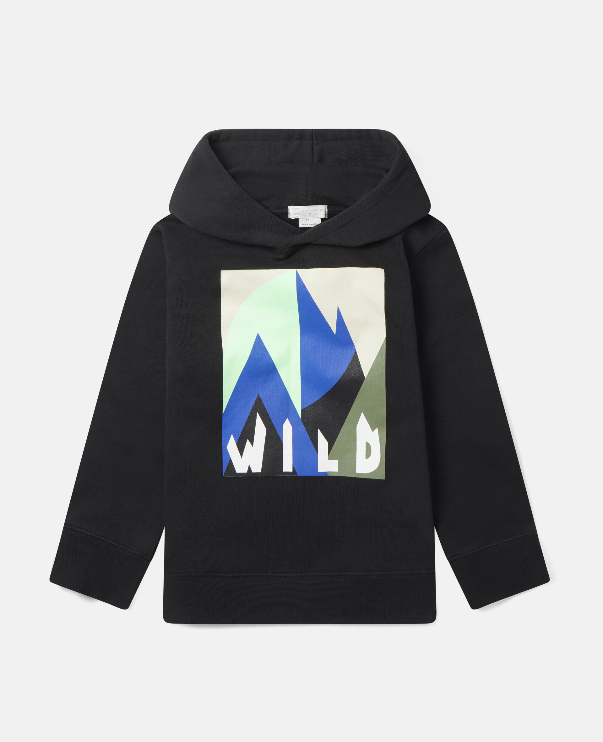 Sweat-shirt à capuche oversize en polaire à logo montagne graphique-Noir-large image number 0