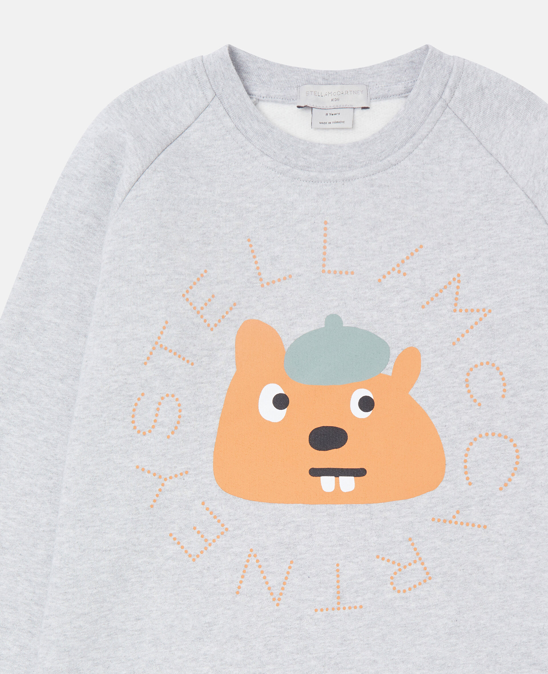 Squirrel Graphic Crewneck Sweatshirt-Grey-large Squirrel Graphic Crewneck Sweatshirt-Grey-large image number 2