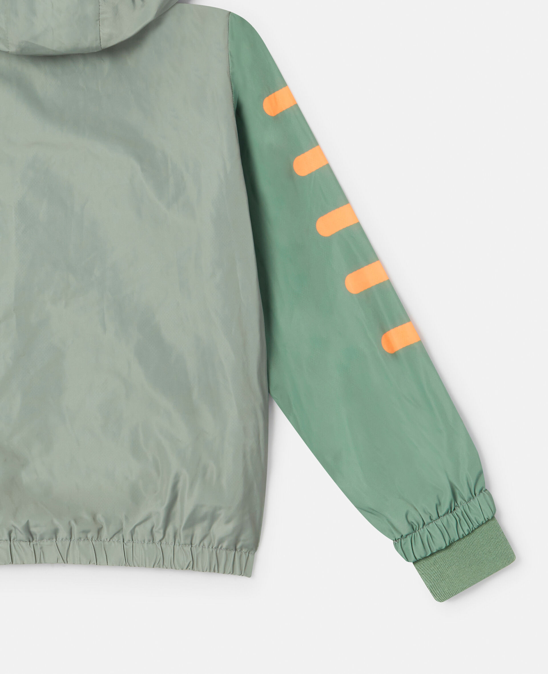 Double Gecko Print Hooded Jacket-Green-large image number 3