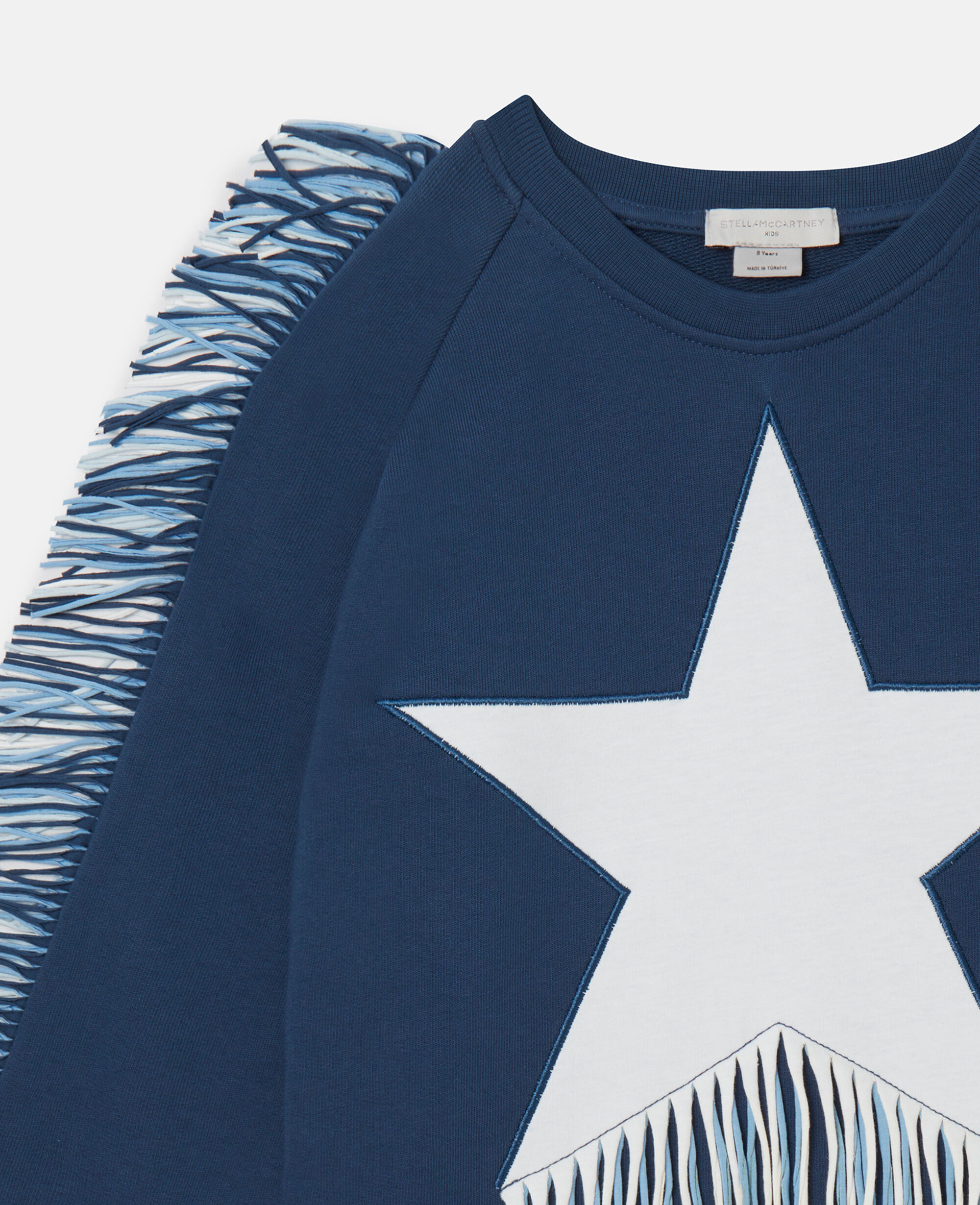 Navy star sweatshirt online