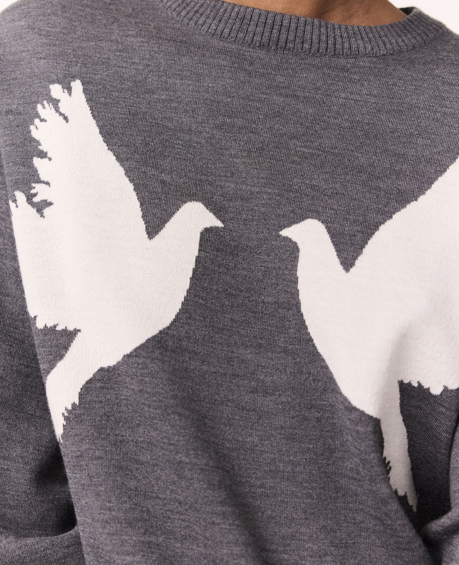 Dove Appliqu&eacute; Crewneck Jumper-Grey-large image number 2