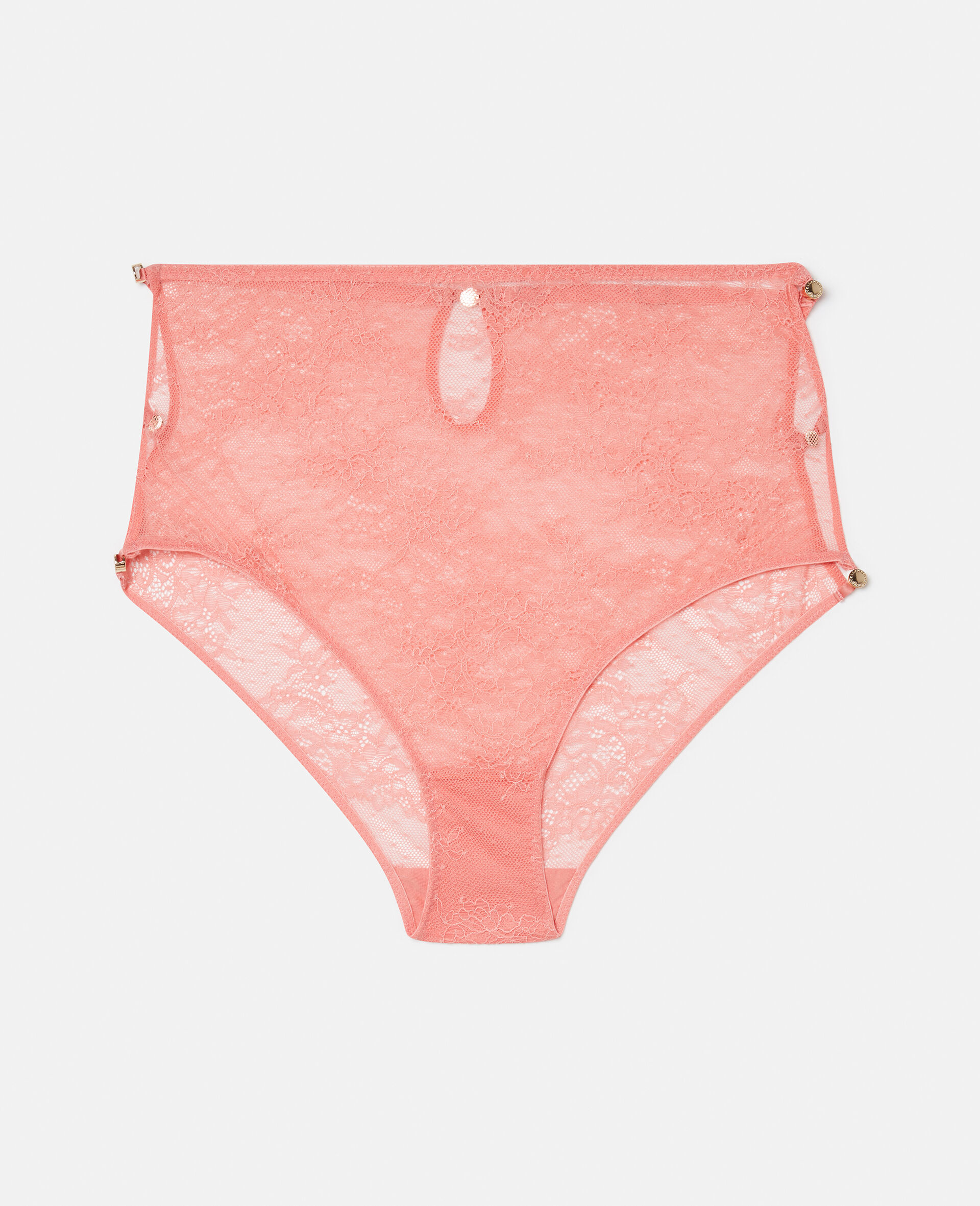 Floral Lace High Waisted Briefs-Pink-large image number 0
