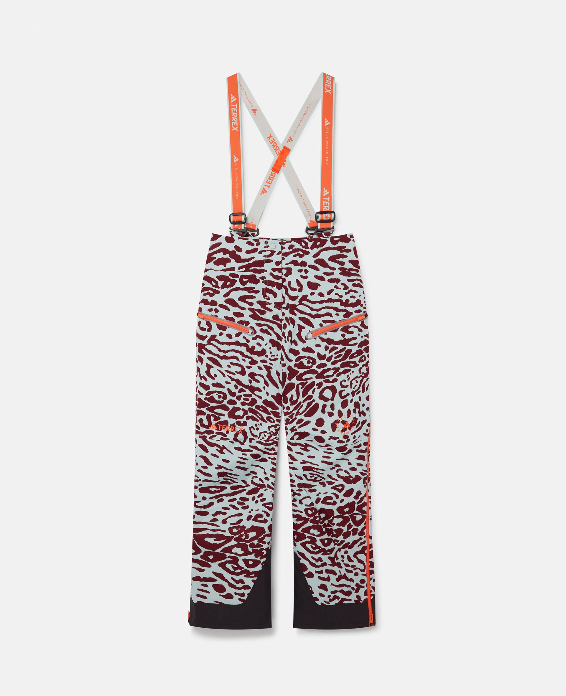 TERREX TrueNature Ski Pants-Multicoloured-medium