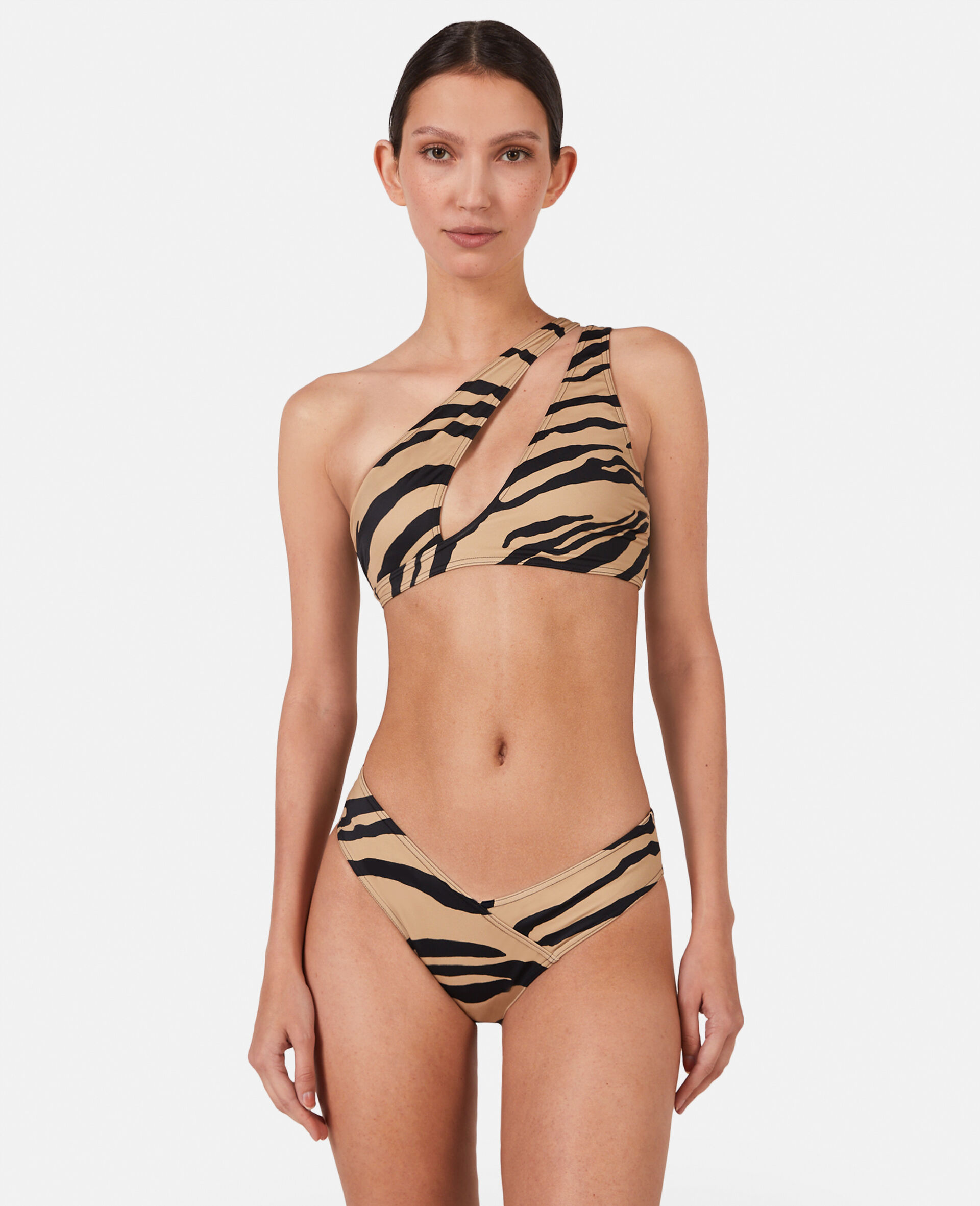 Zebra Print Bikini Briefs-Multicolour-model