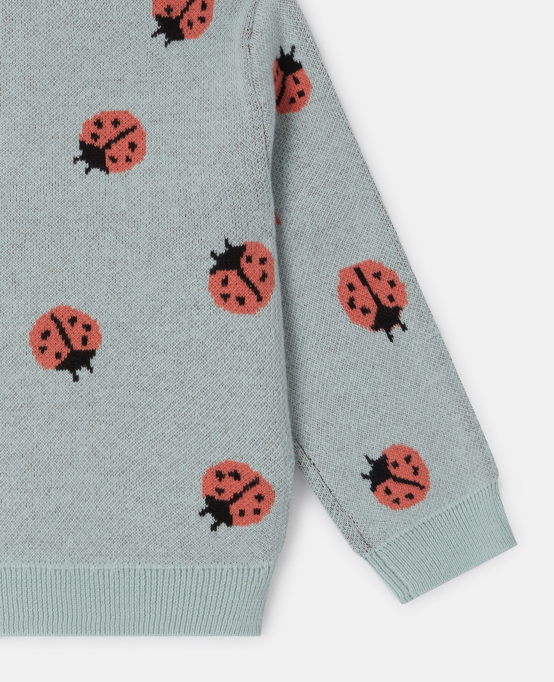 Ladybird Knitted Crewneck Cardigan -Green-large image number 3