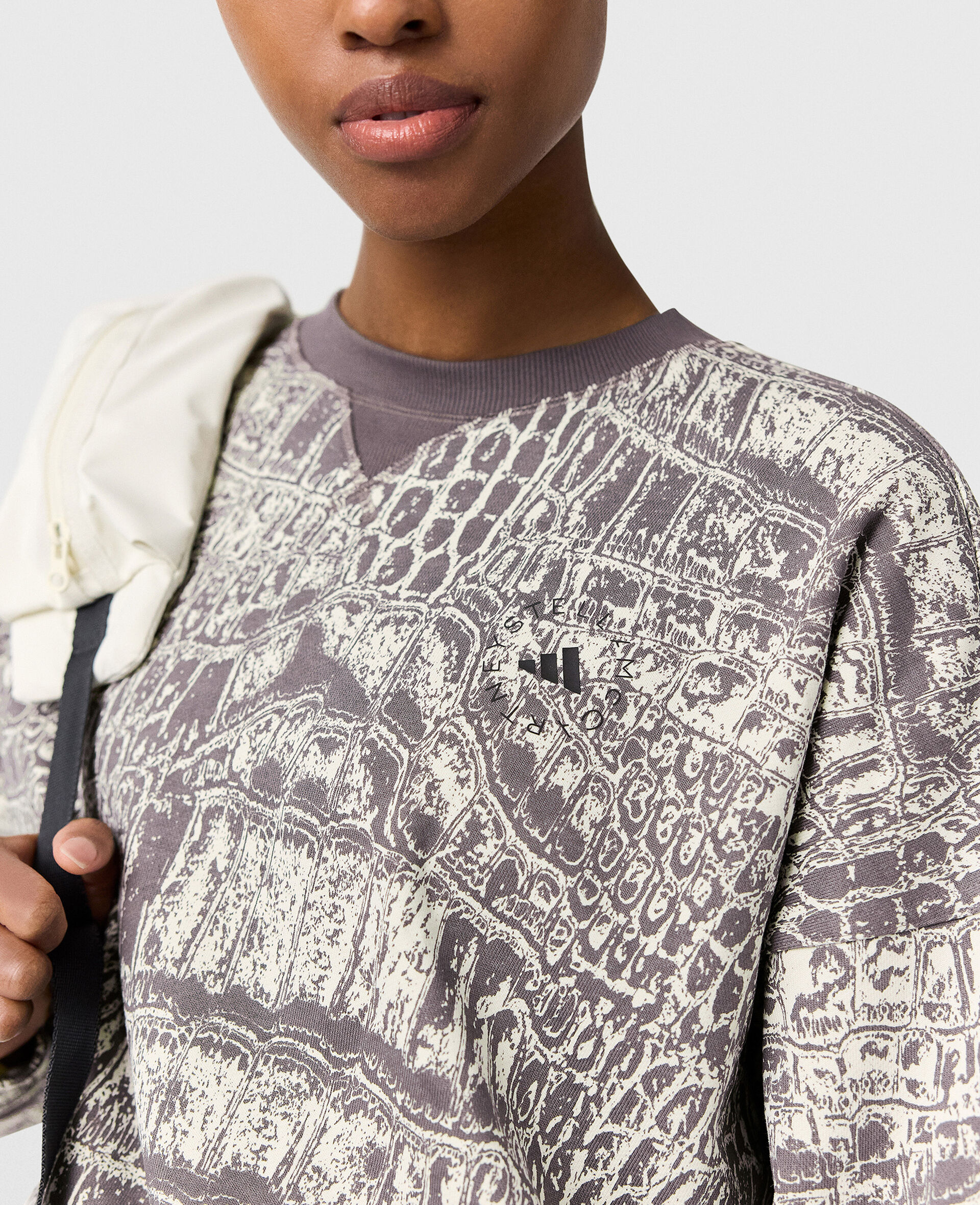 Logo Graphic Print Crewneck Sweatshirt-Beige-large image number 2