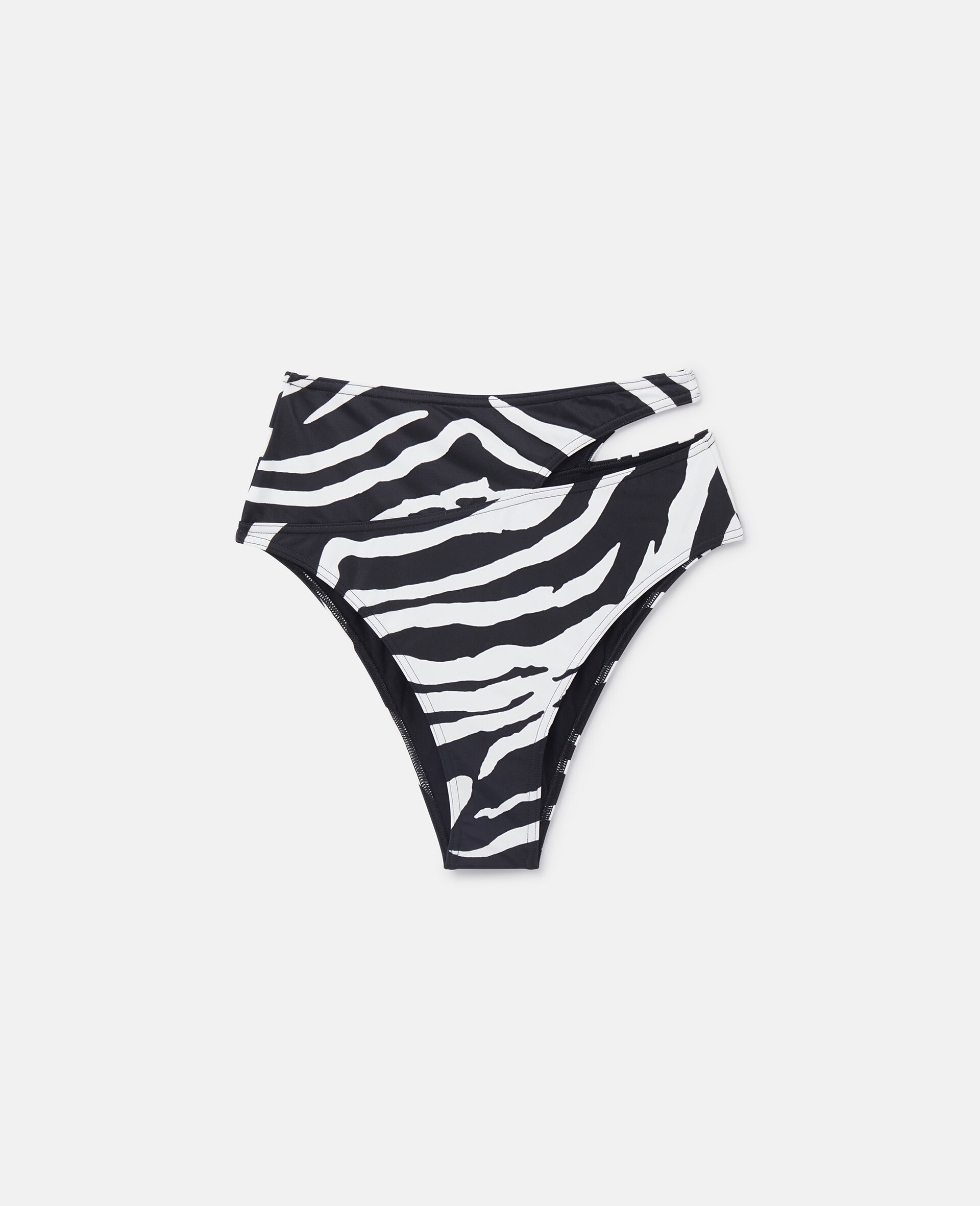 Zebra Print Cut-Out High-Waisted Bikini Briefs-Multicoloured-medium