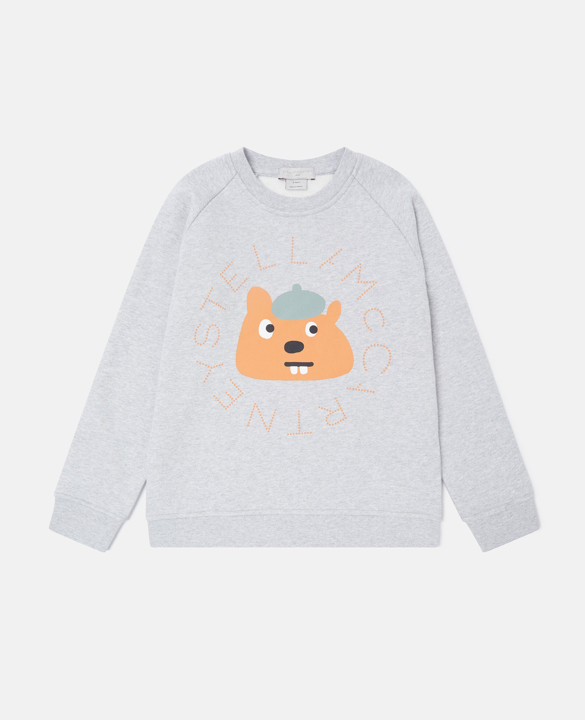 Squirrel Graphic Crewneck Sweatshirt-Grey-medium