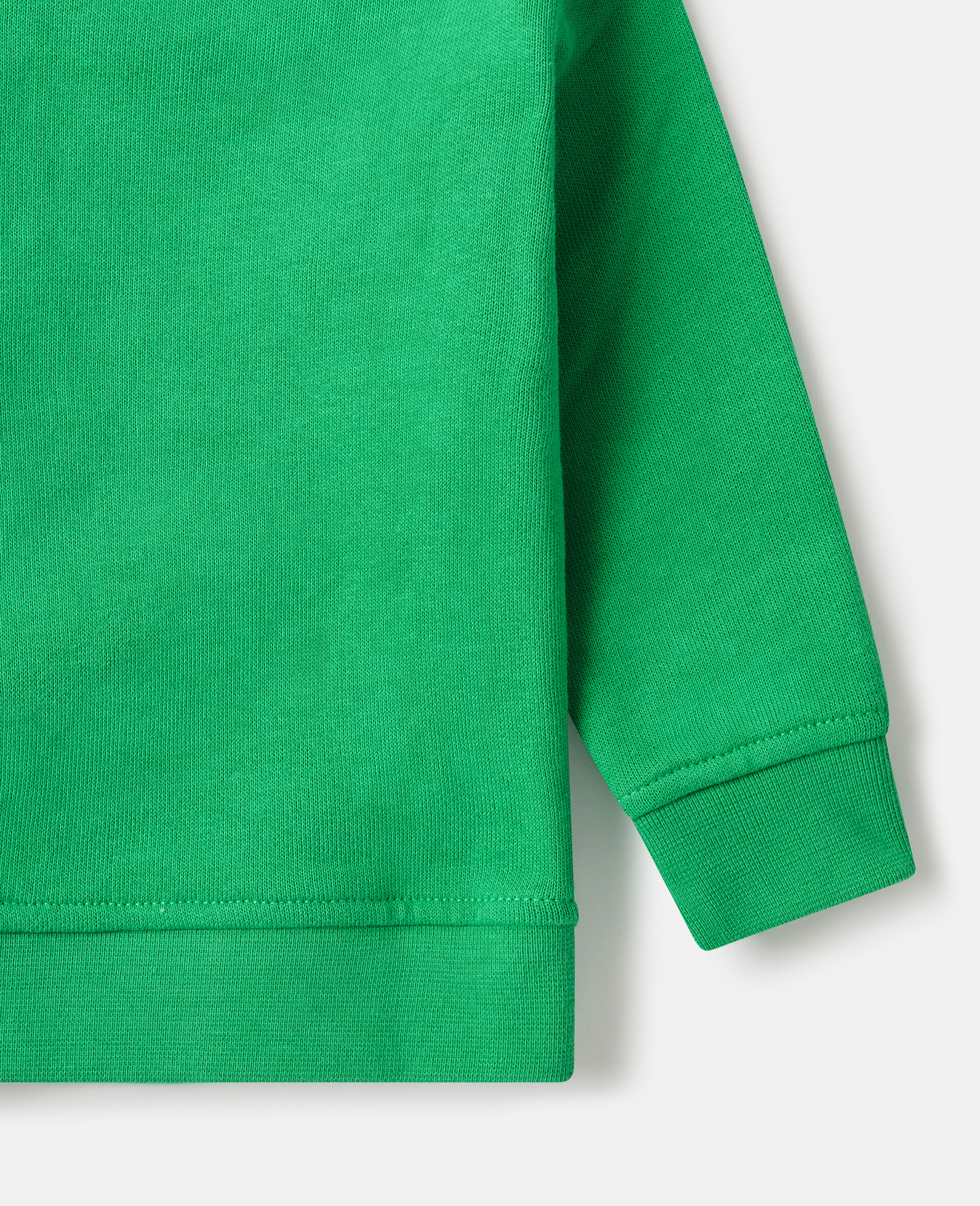 Earth Friends Graphic Crewneck Sweatshirt-Green-large image number 3