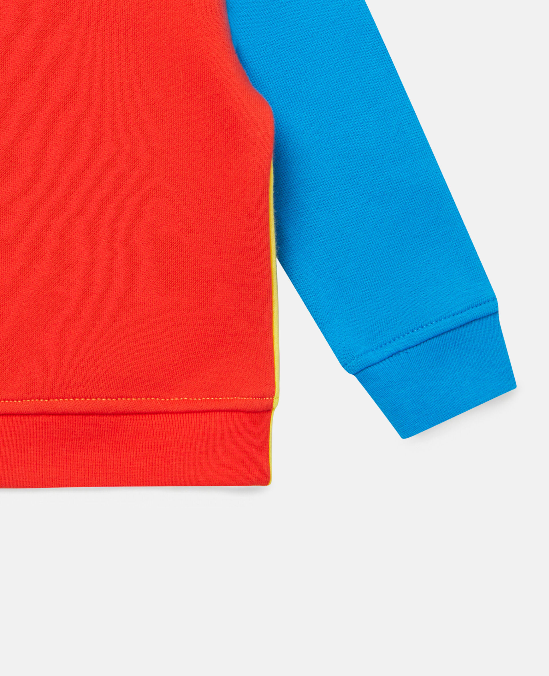 Cotton Fleece Colourblock Sweatshirt-Multicolour-large image number 2