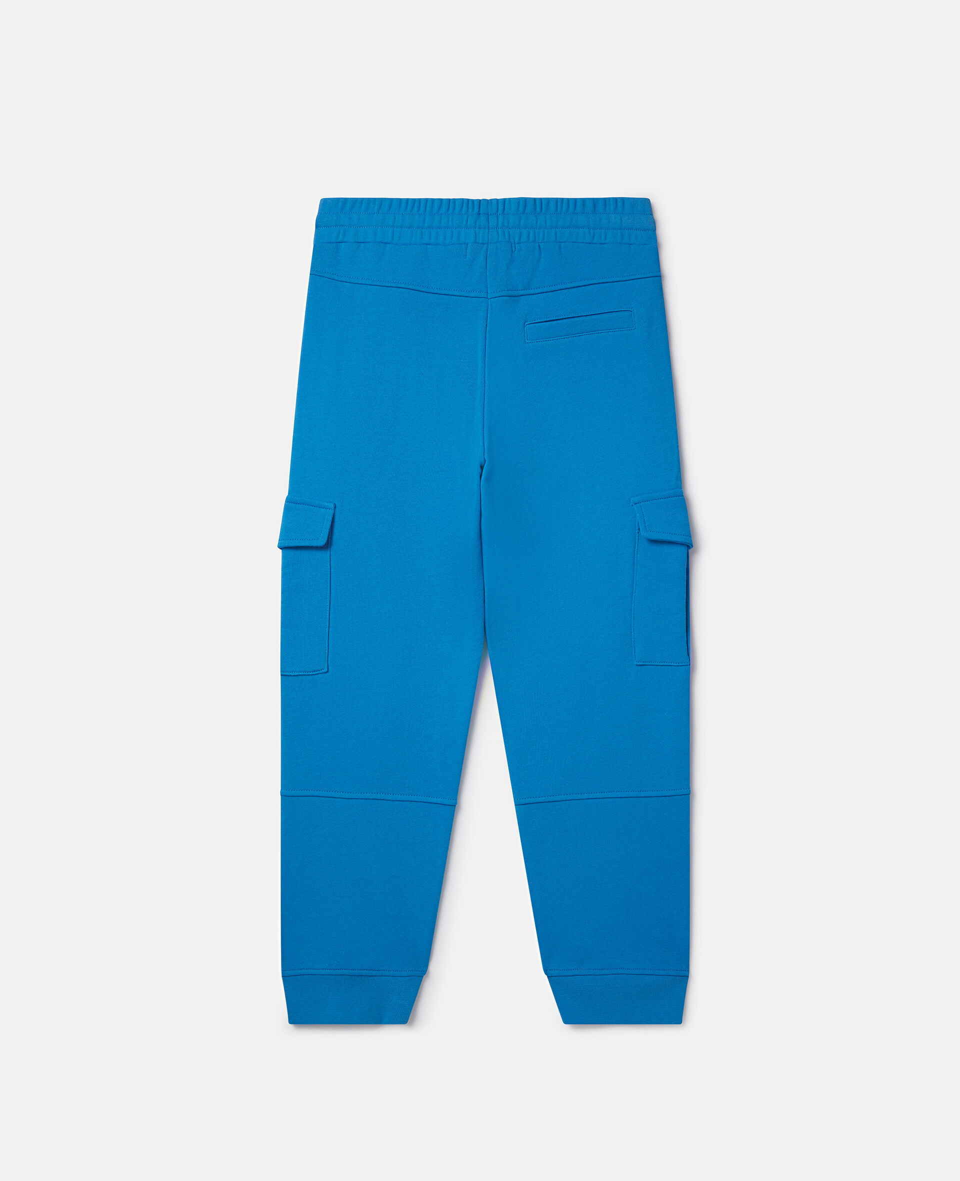 Cargo Joggers-Blue-large image number 2