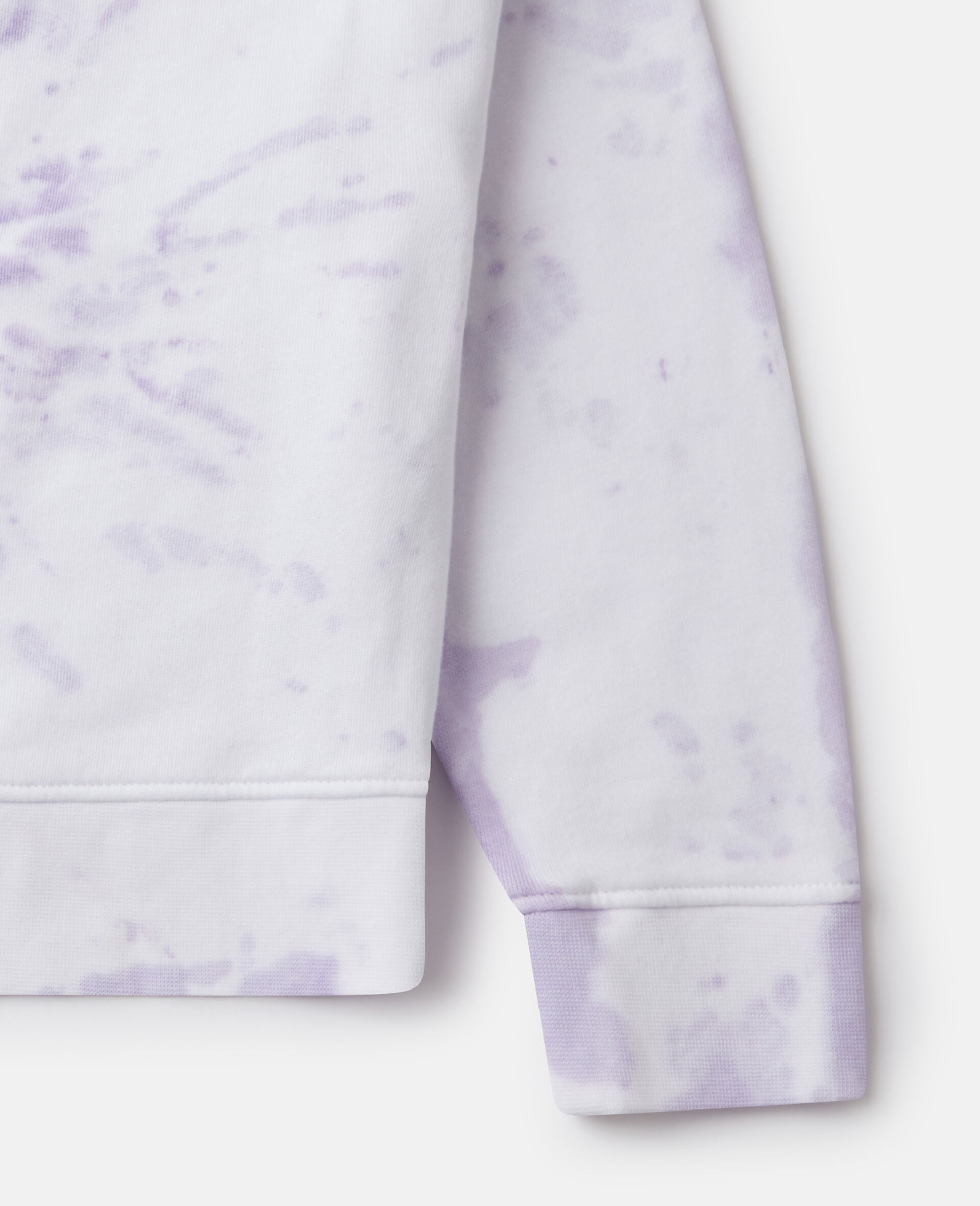 Earth Friends Graphic Tie-Dye Crewneck Sweatshirt-Multicolour-large image number 3