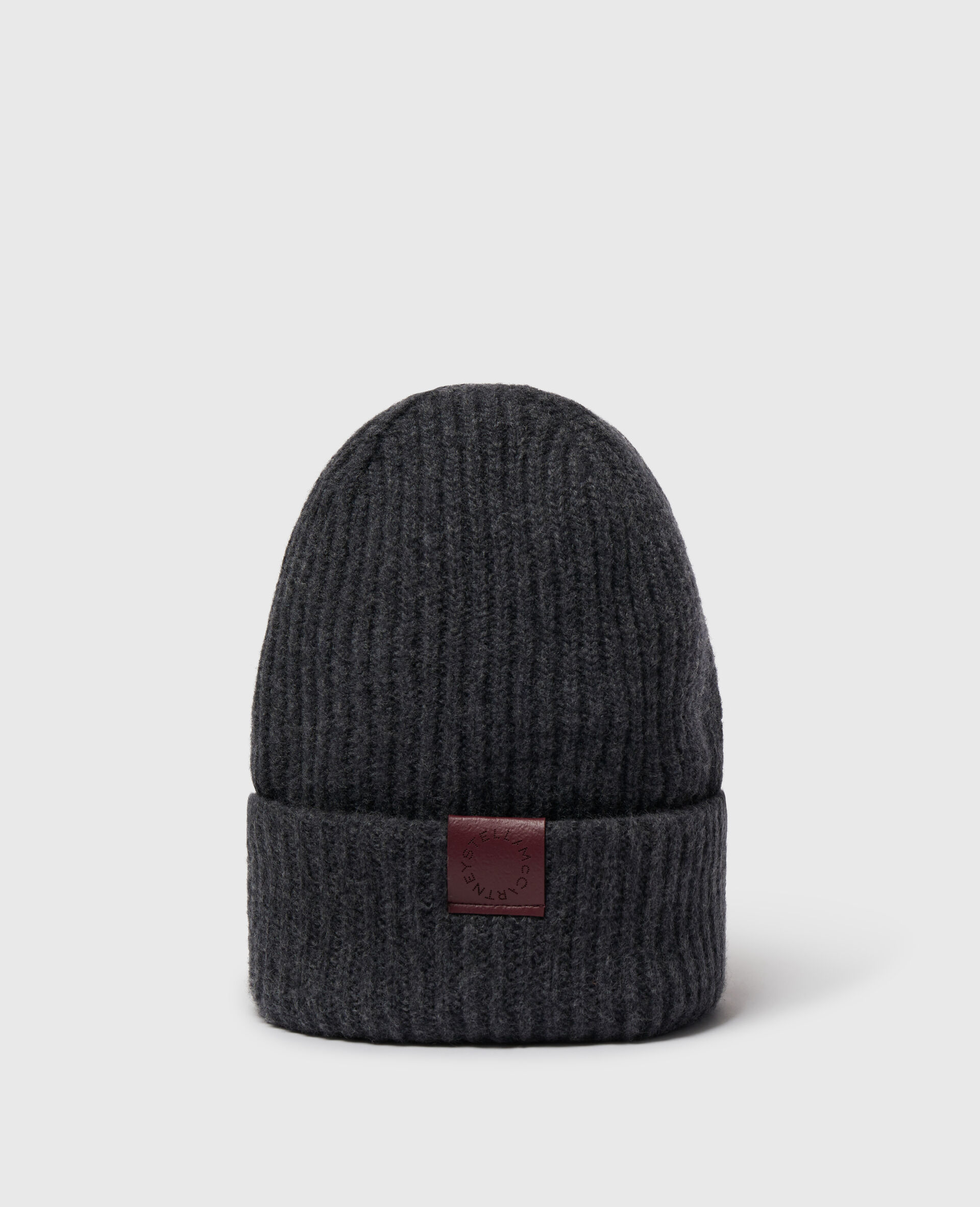 Ribbed Logo Beanie-Grey-large image number 0