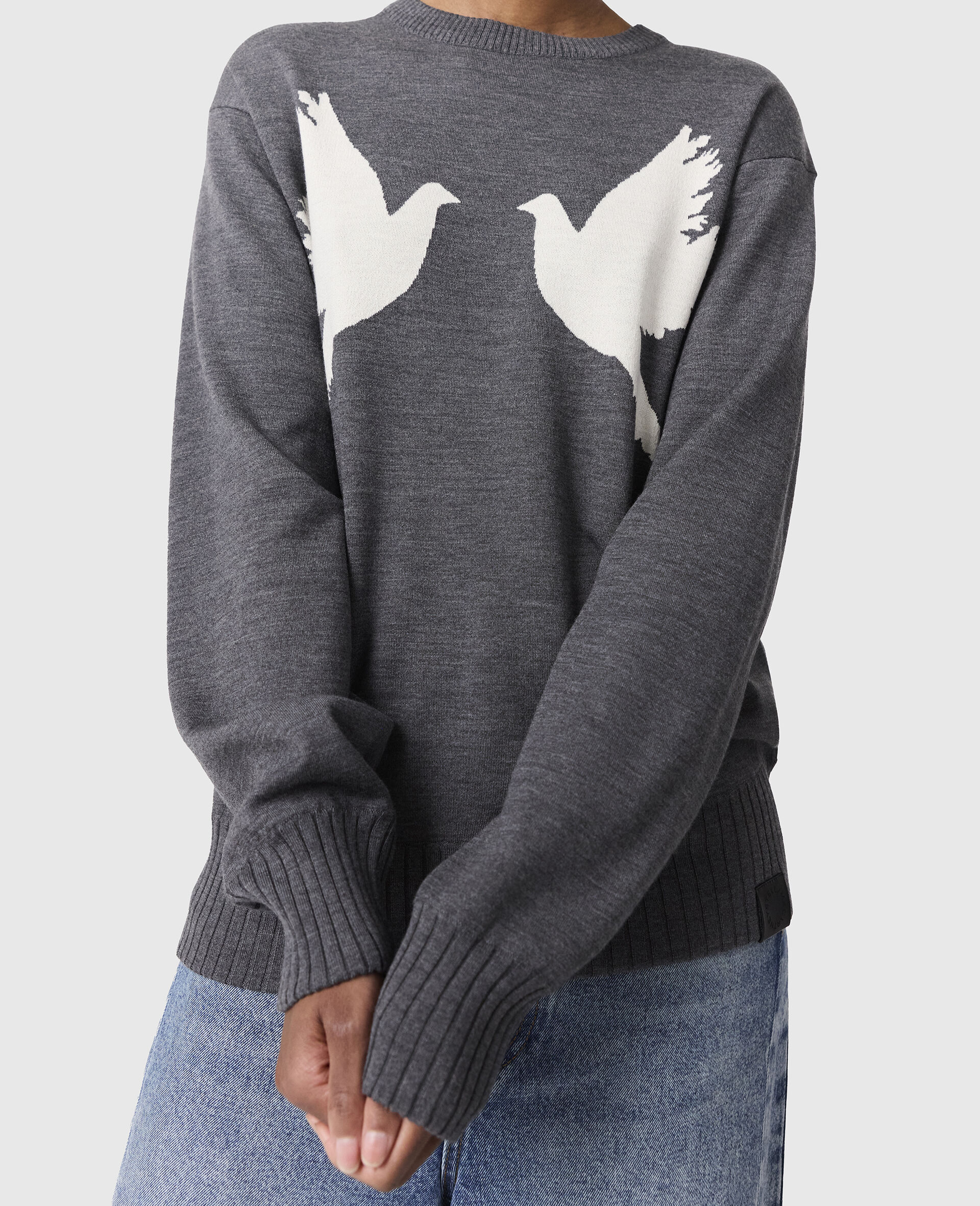 Dove Appliqué Crewneck Jumper-Grey-large image number 4
