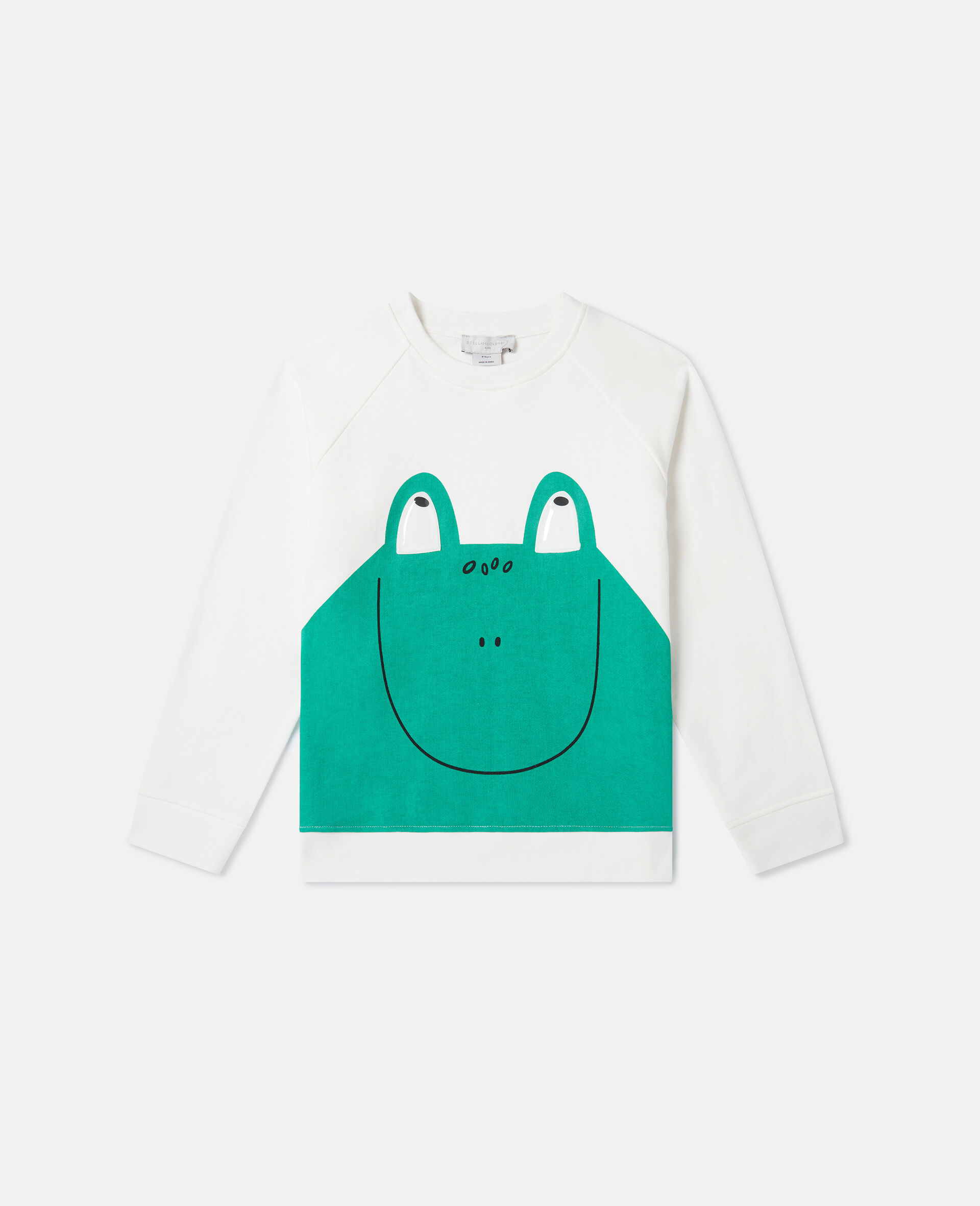 Sweat shirt graphique a col ras du cou avec grenouille-Blanc-large image number 0