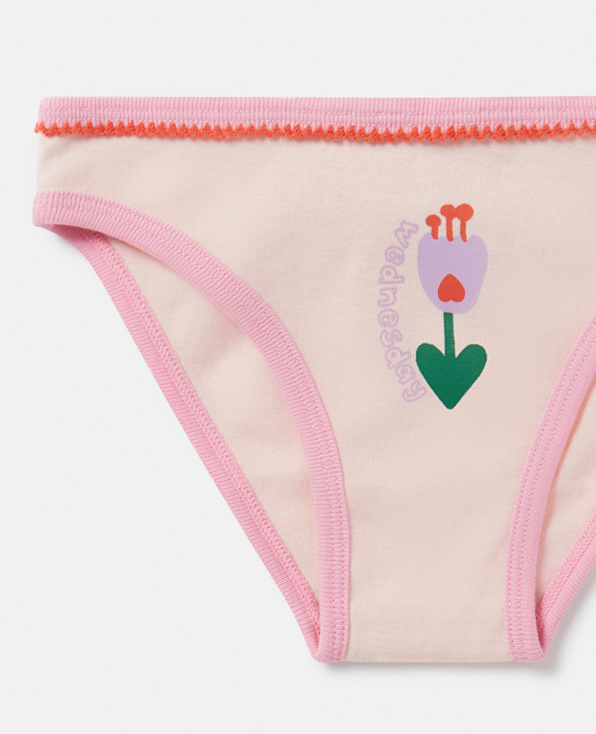 7 Pack of Flower Print Days of the Week Briefs-Multicolour-large image number 3