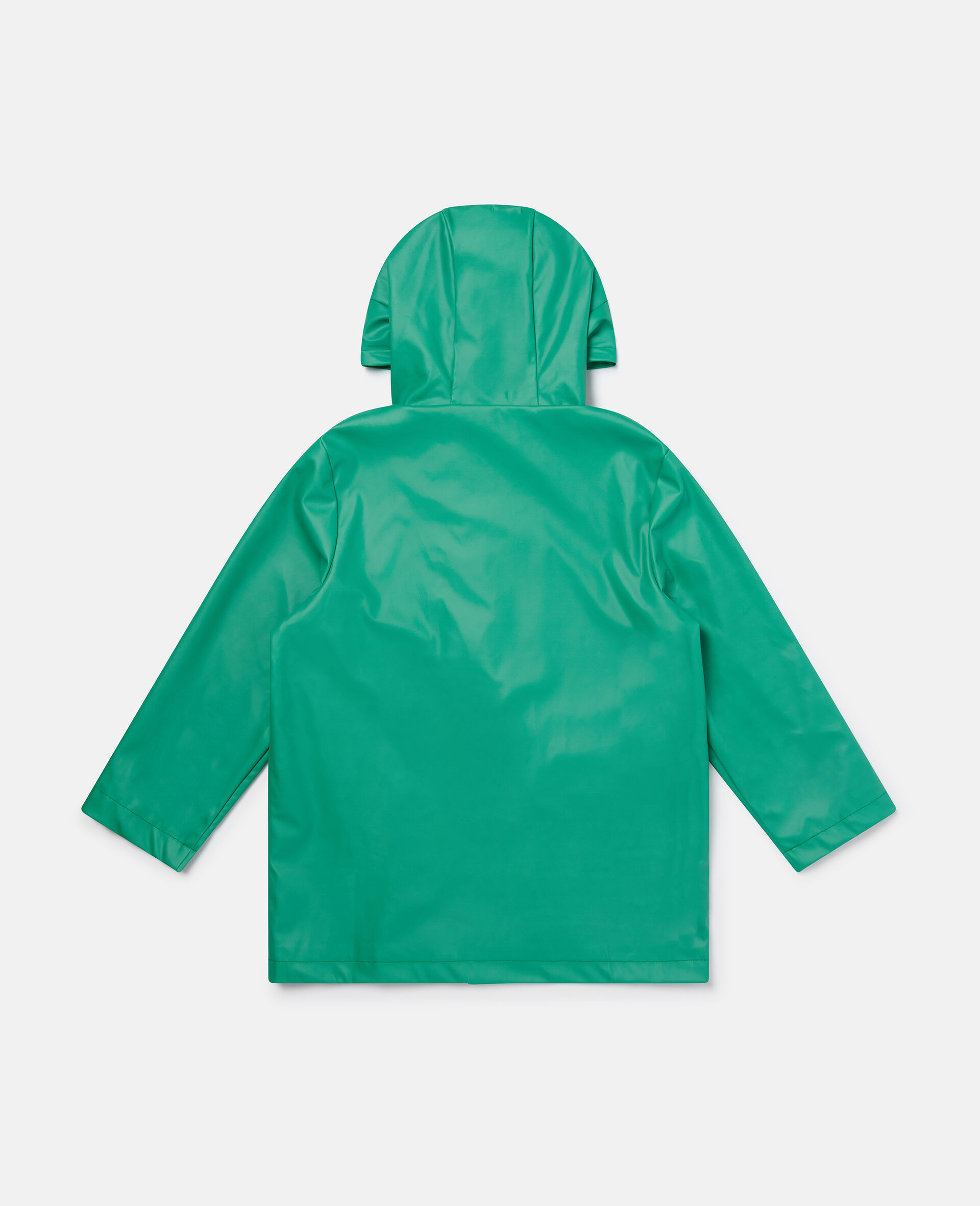 Frog Graphic Hooded Raincoat-Green-large image number 2