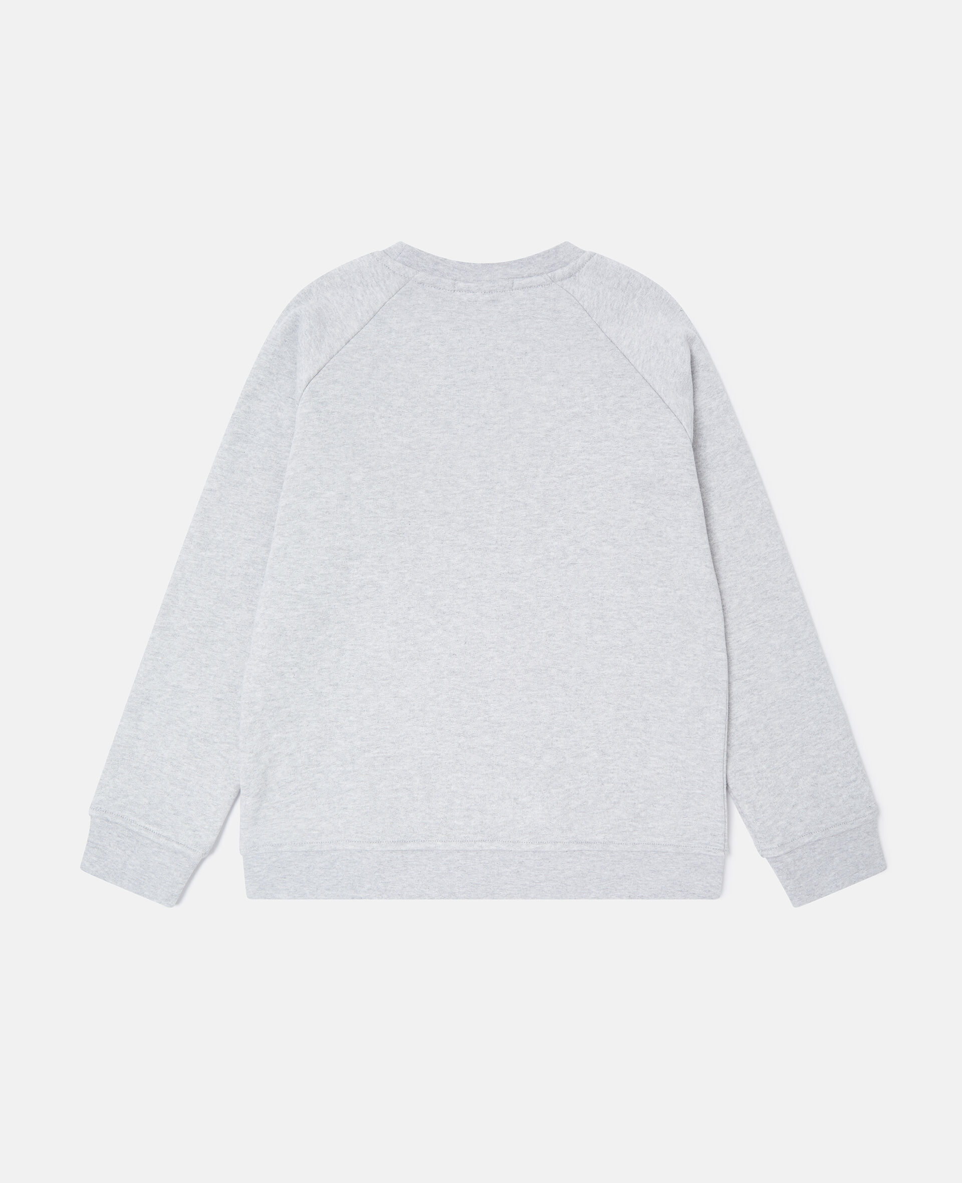 Squirrel Graphic Crewneck Sweatshirt-Grey-large image number 3