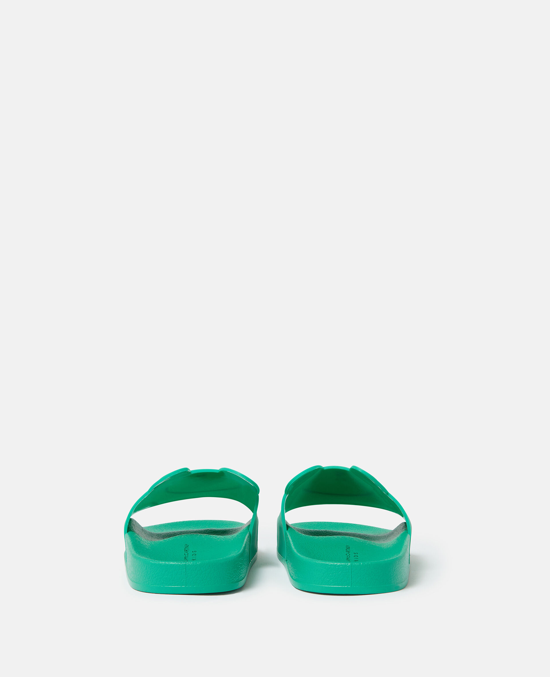 Frog Graphic Slides-Green-large Frog Graphic Slides-Green-large image number 2