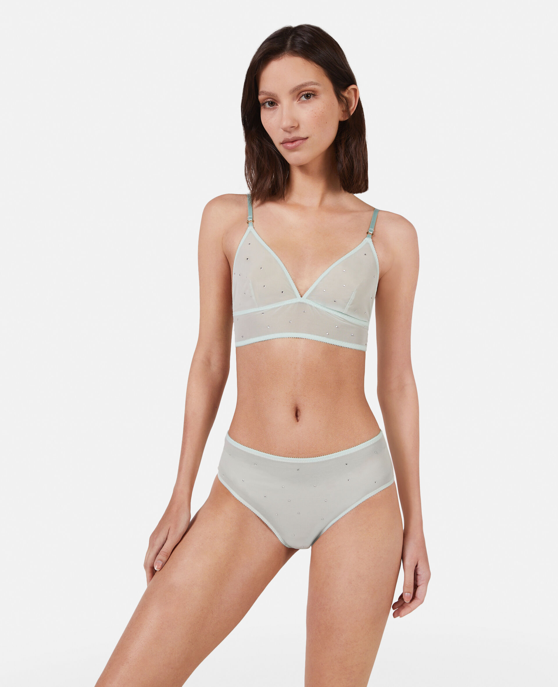 Crystal Dot Mesh Briefs-Blue-model Crystal Dot Mesh Briefs-Blue-model