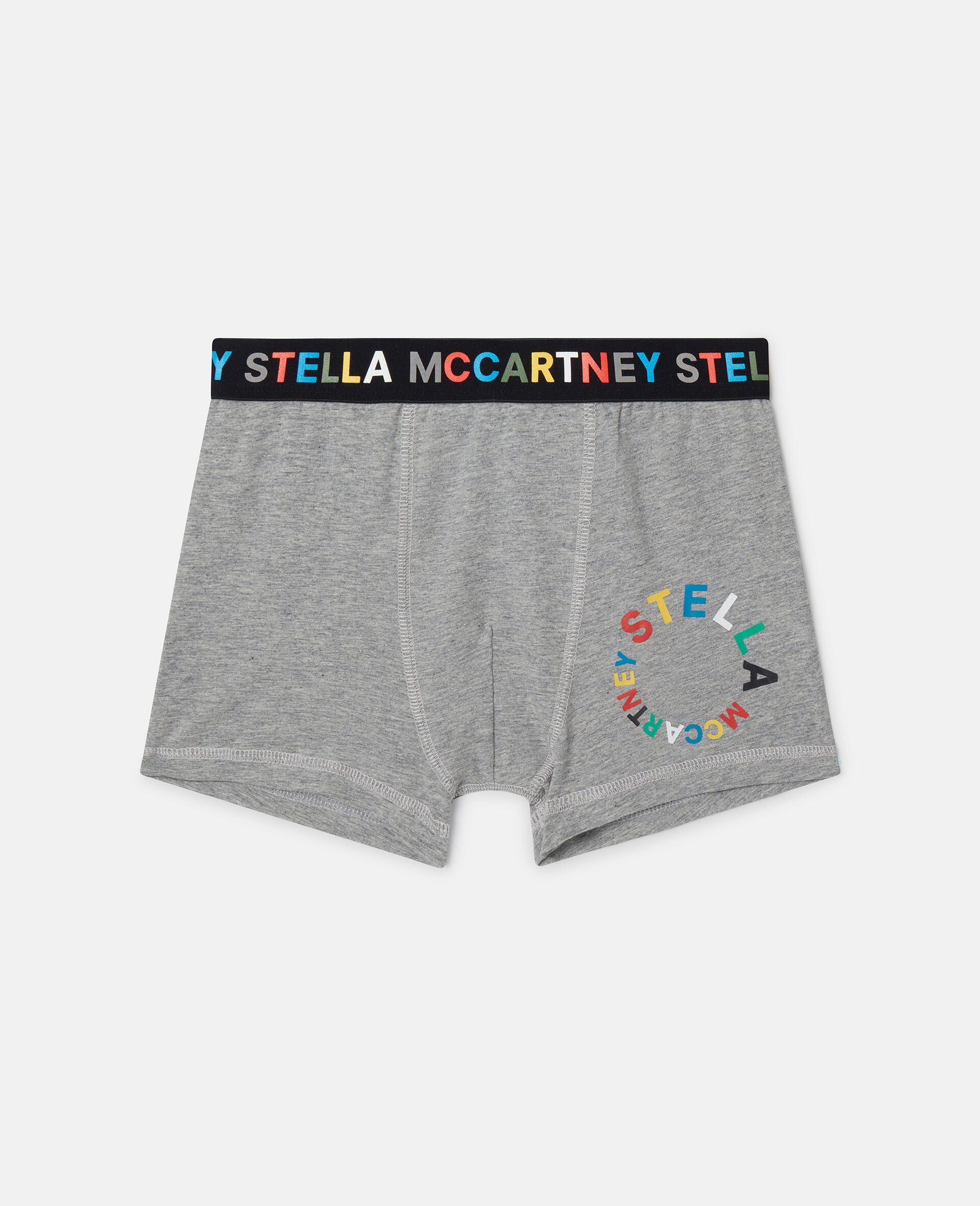 2 Pack of Logo Boxers-Multicoloured-model